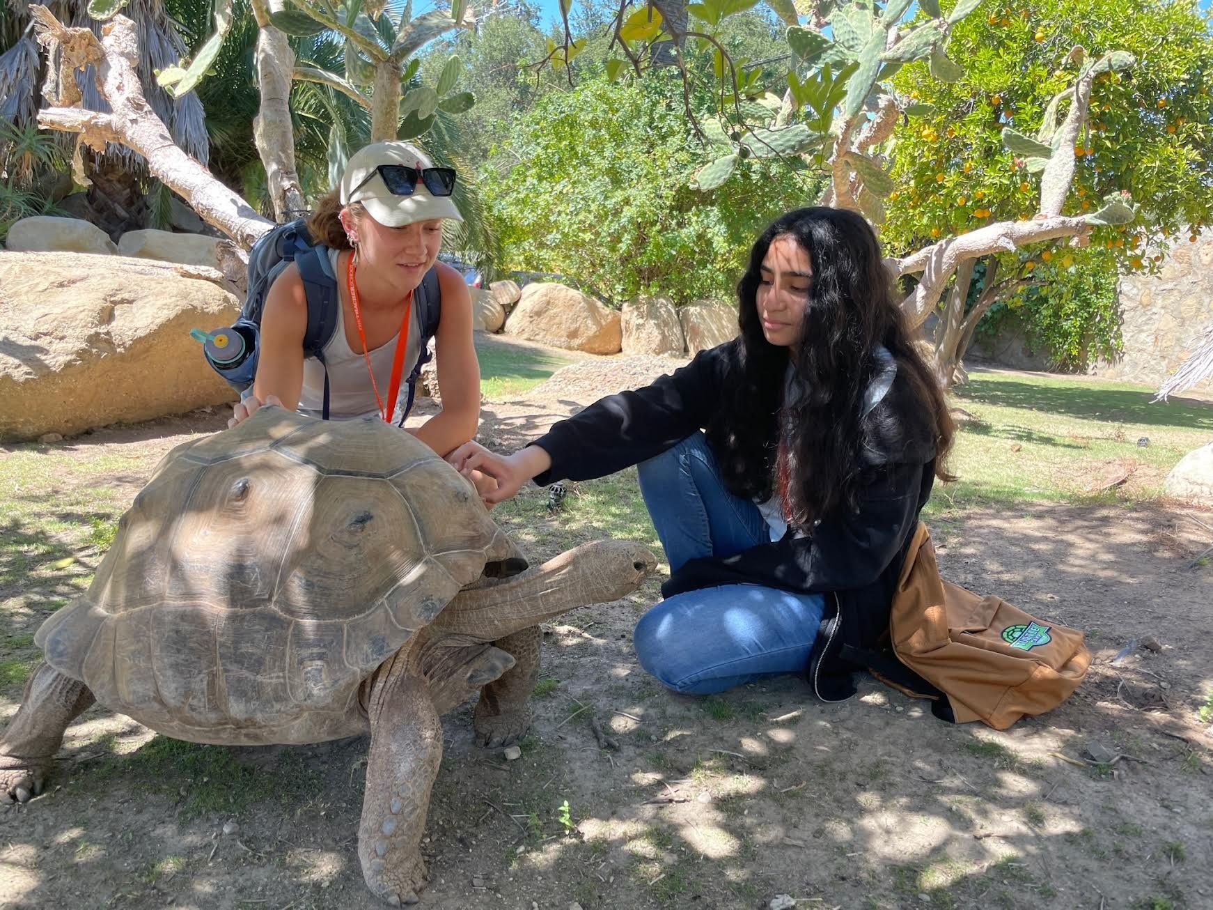 A Look Inside Turtle Camp