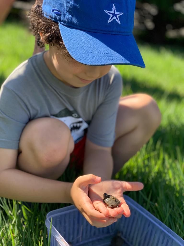 Terrapin Nesting Project