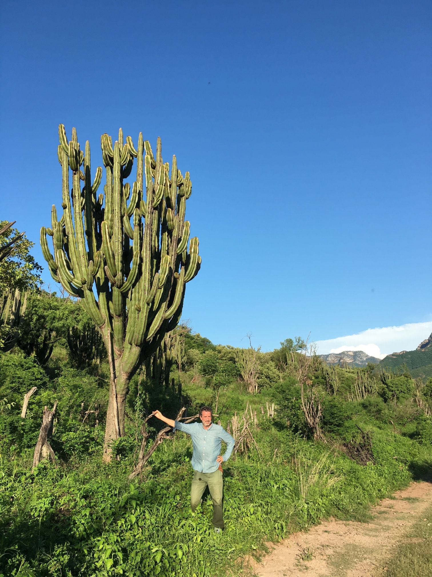 Saving a Mountain in Mexico