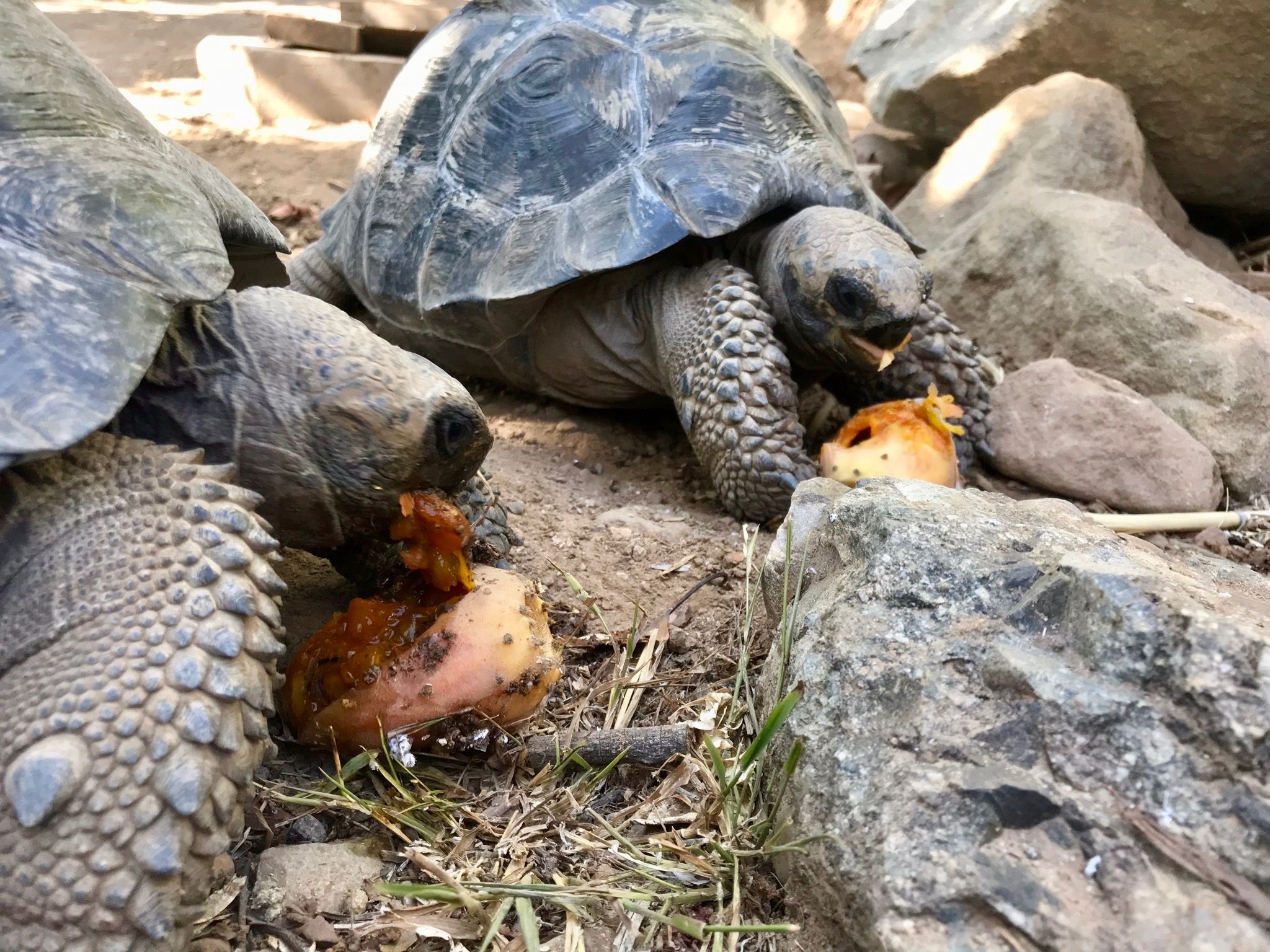 Conservation Center Updates