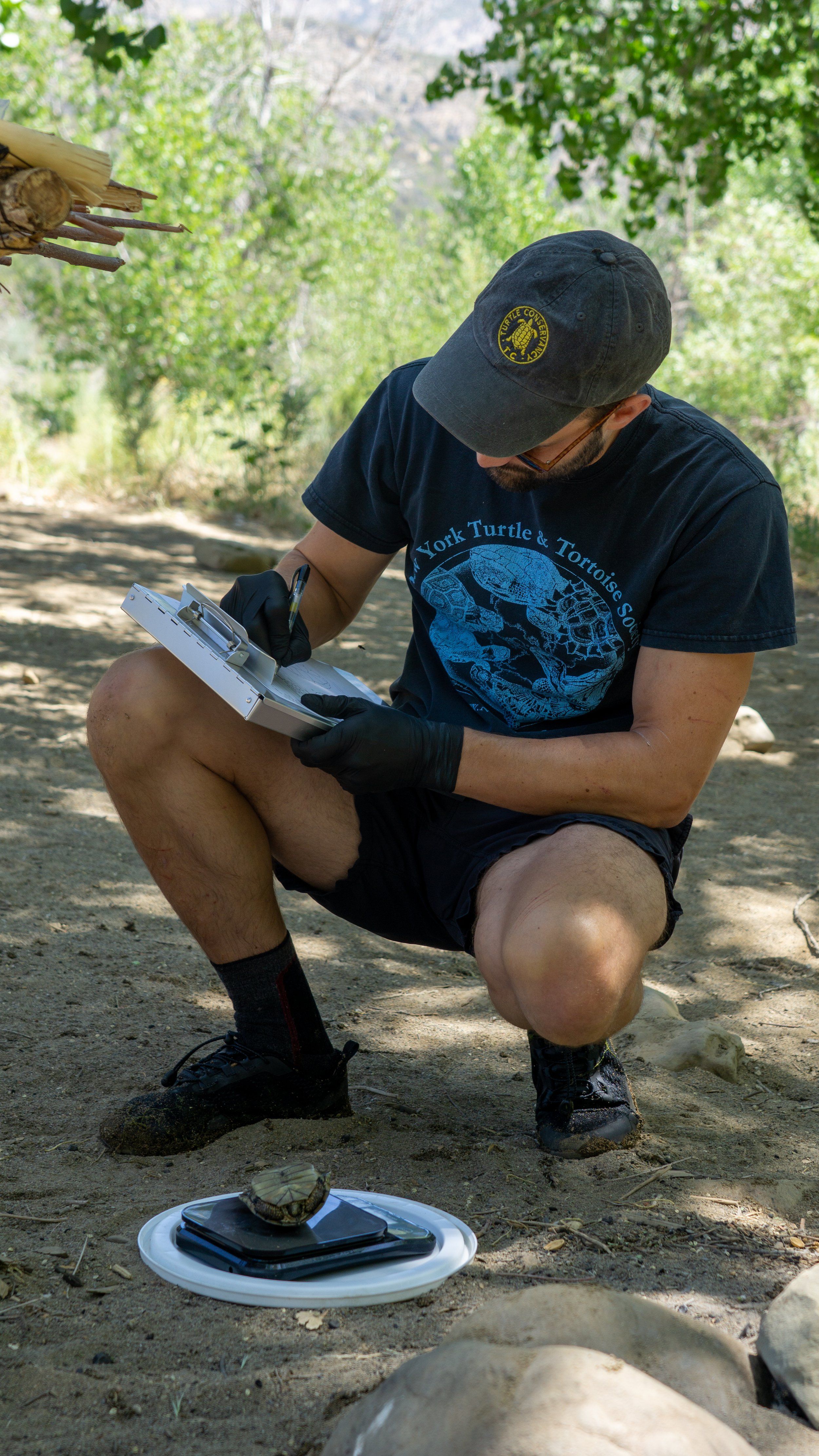 Southern Pacific Pond Turtle Conservation Program