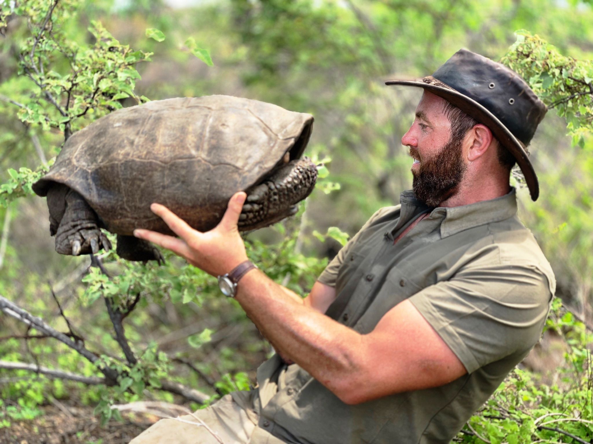 'Extinct' Tortoise Rediscovered