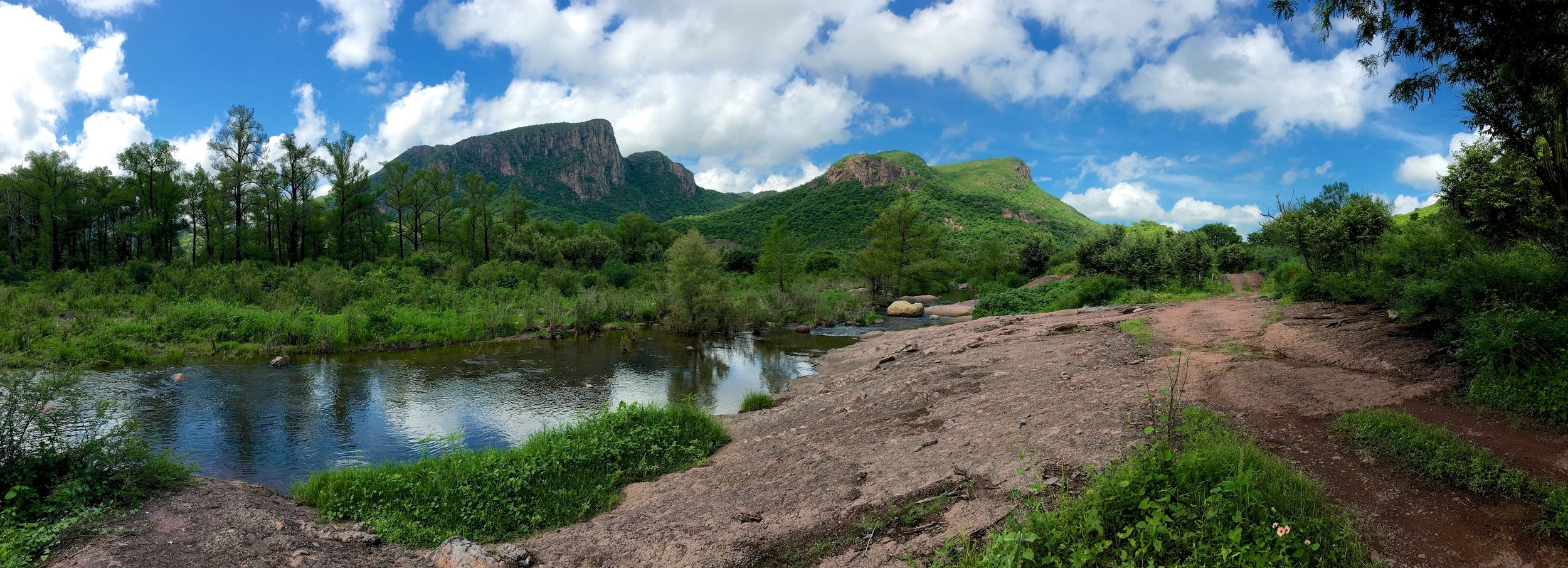 Saving a Mountain in Mexico