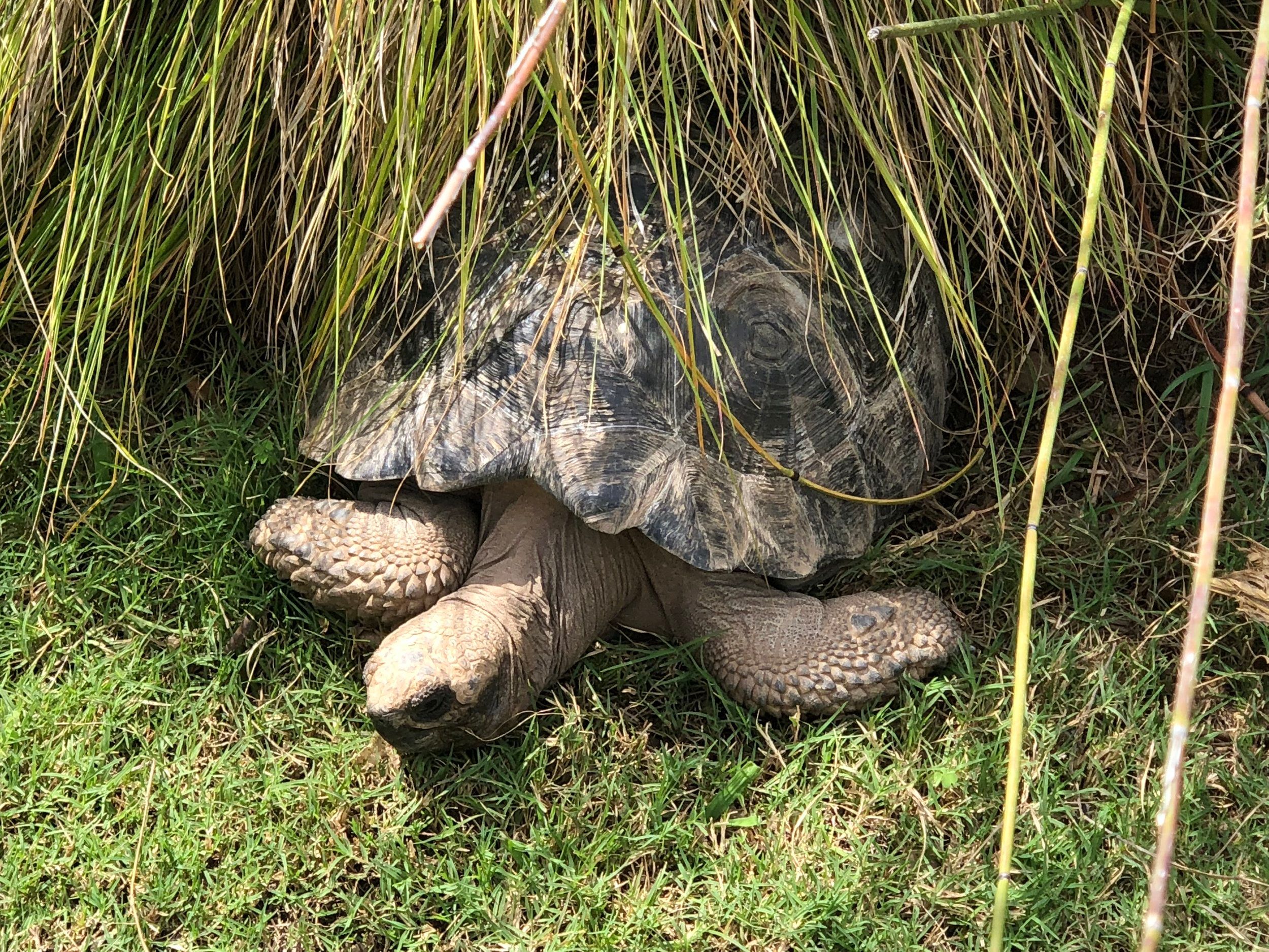 Conservation Center Updates