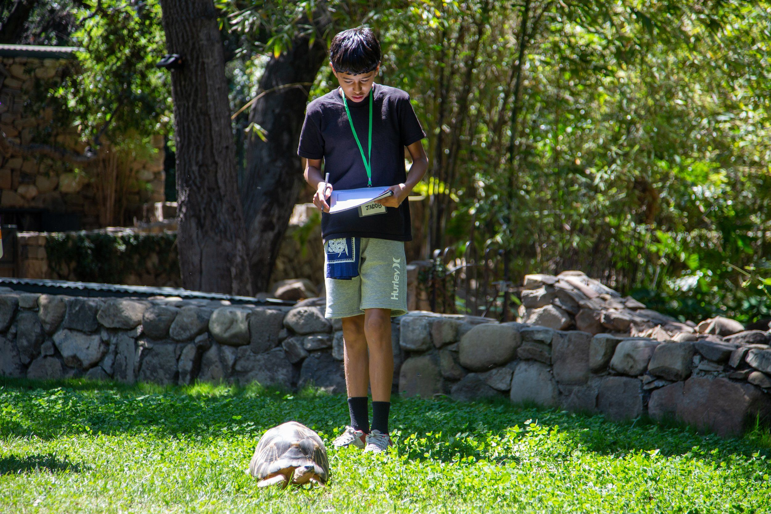 Turtle Camp Recap