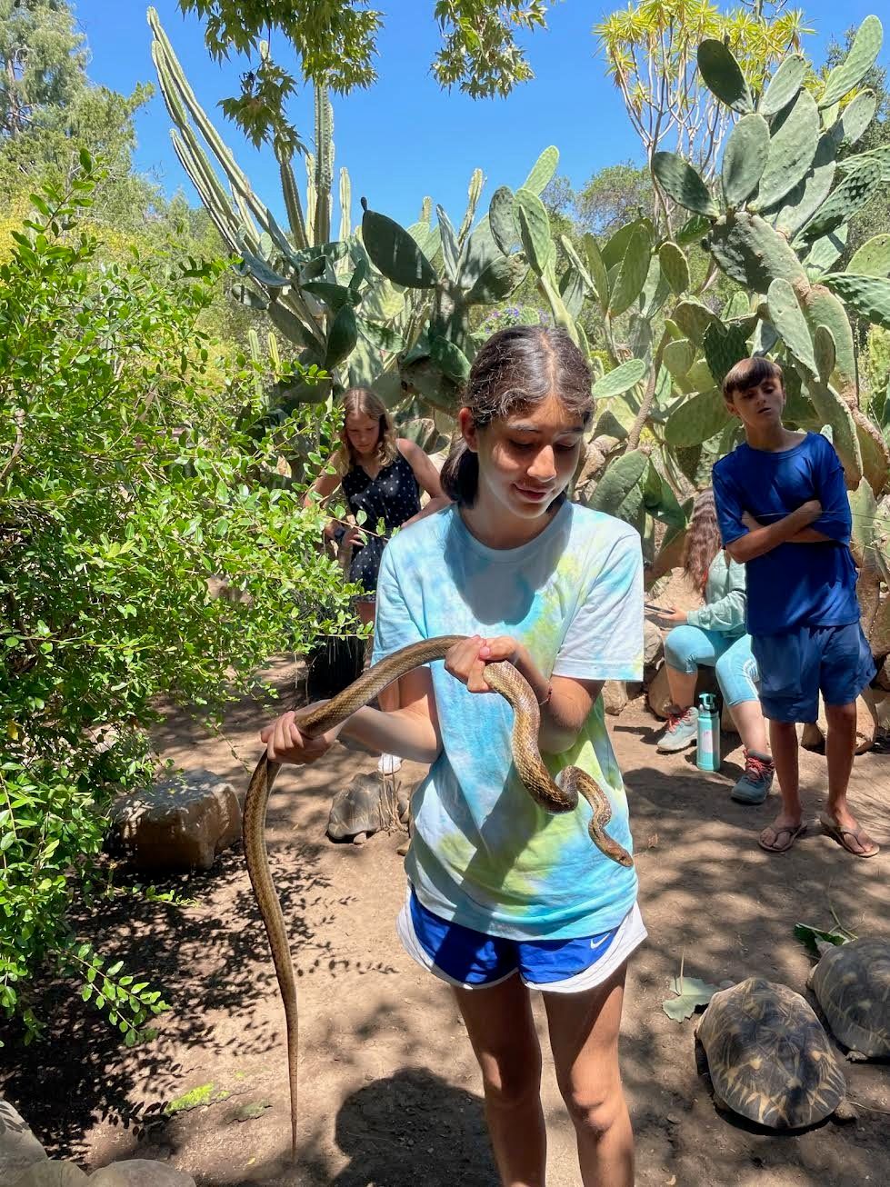 A Look Inside Turtle Camp