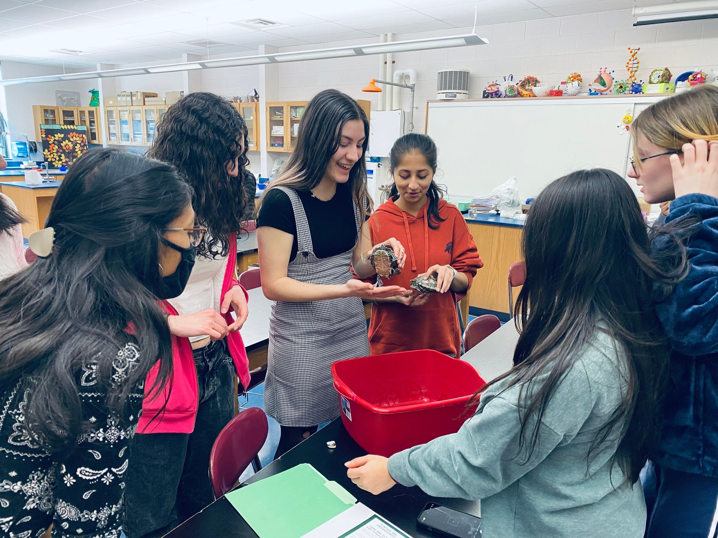 High Schoolers Open their Doors to Confiscated Turtles