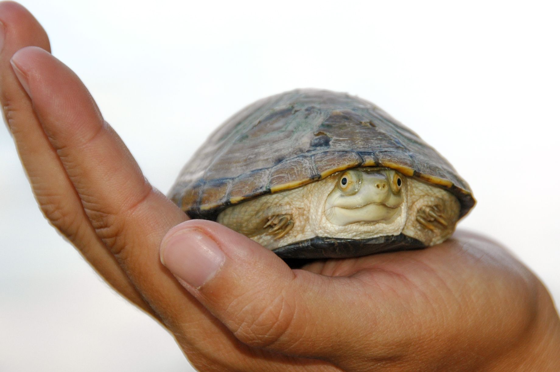 18,850 Acres of Critical Wildlife Habitat Secured in Northern Mexico!