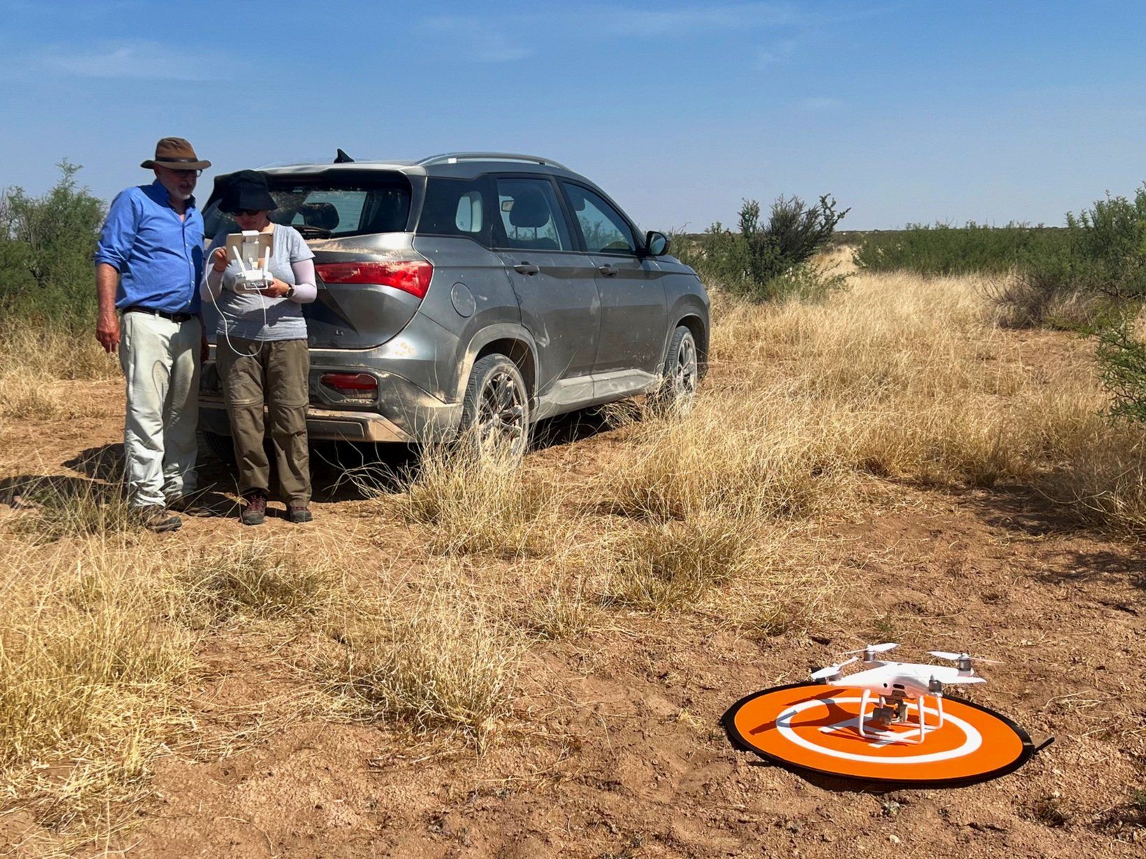 Revolutionizing Tortoise Surveys: Drones and AI Team Up to Protect Bolson Tortoises