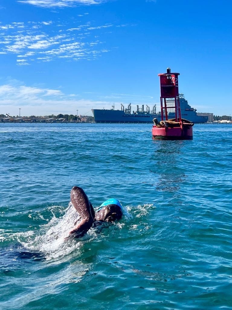 Swimming for the Good of Turtles