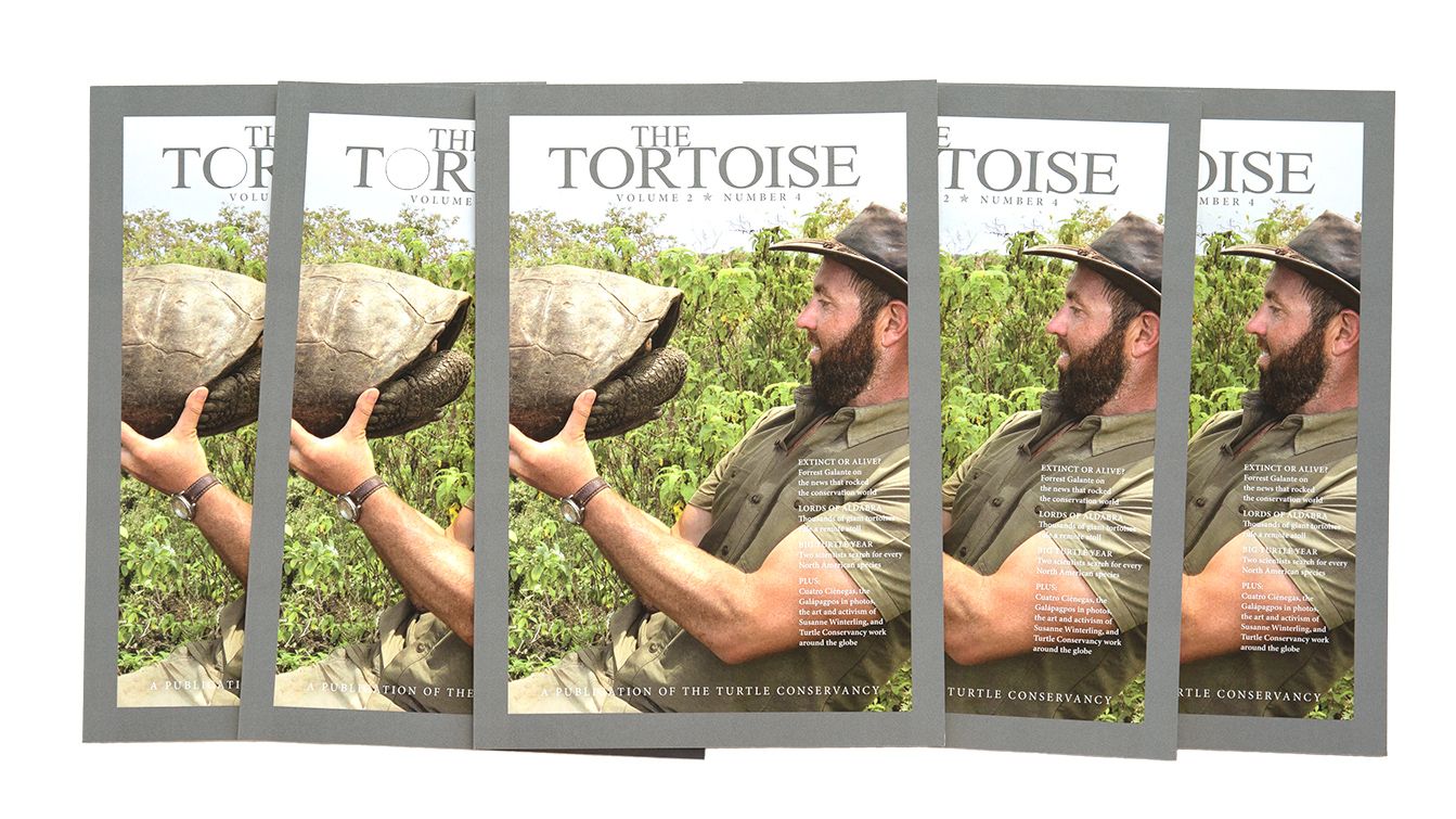 The Tortoise Magazine Issue 8 Release