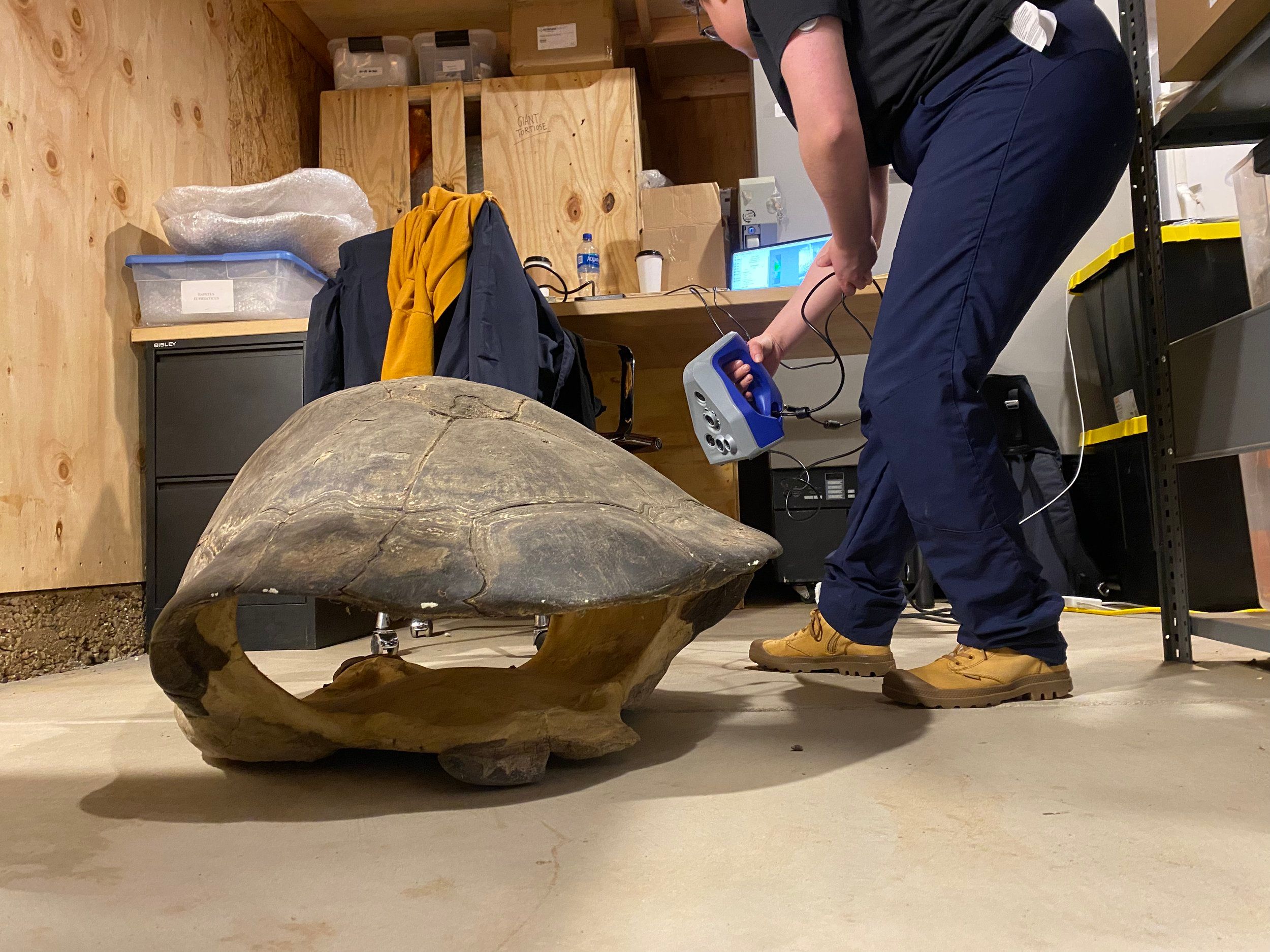 Paleontologists Visit the Turtle Conservancy to Explore Questions About Turtle Evolution