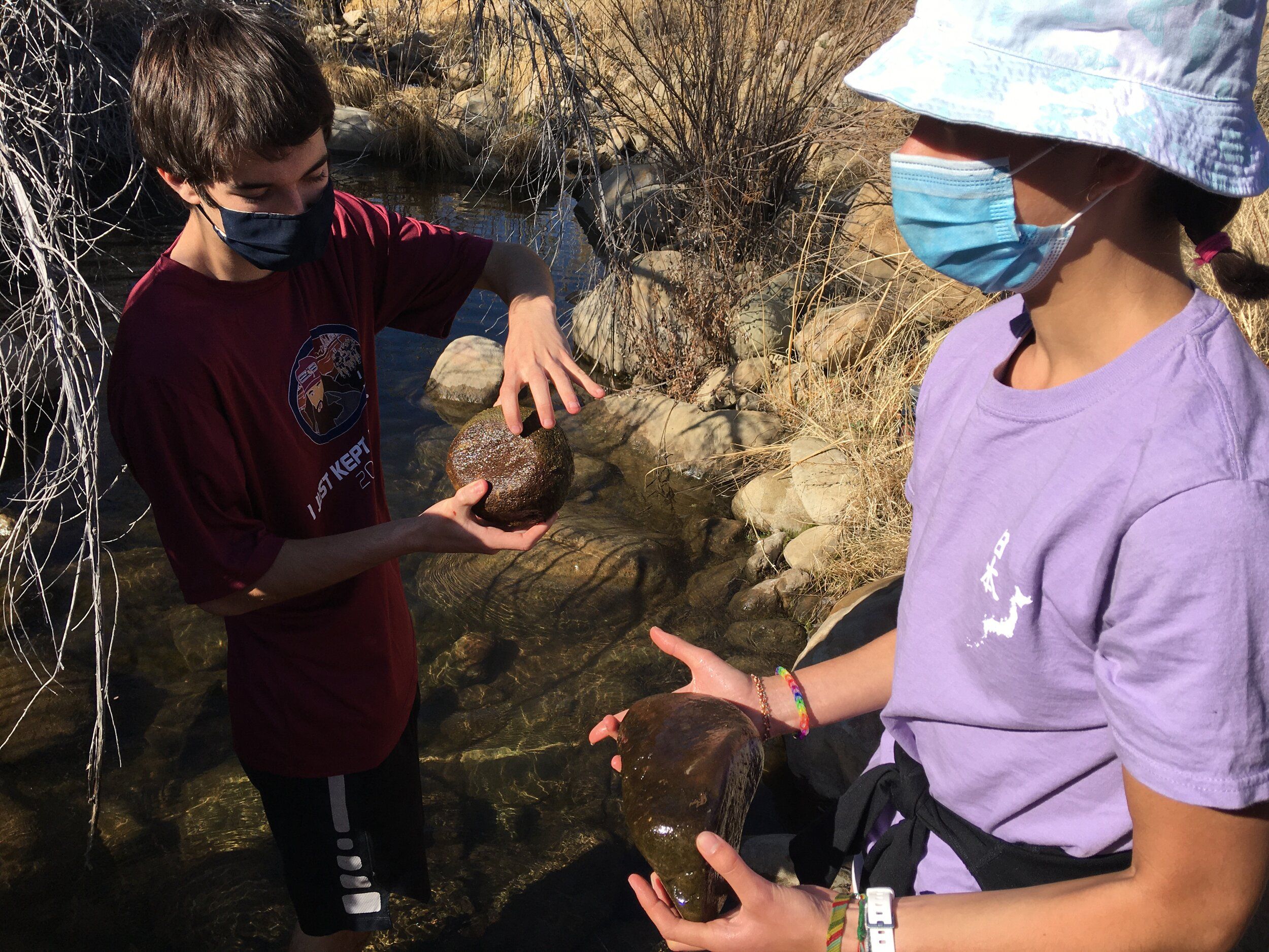 Conservation Field Techniques Class Trip