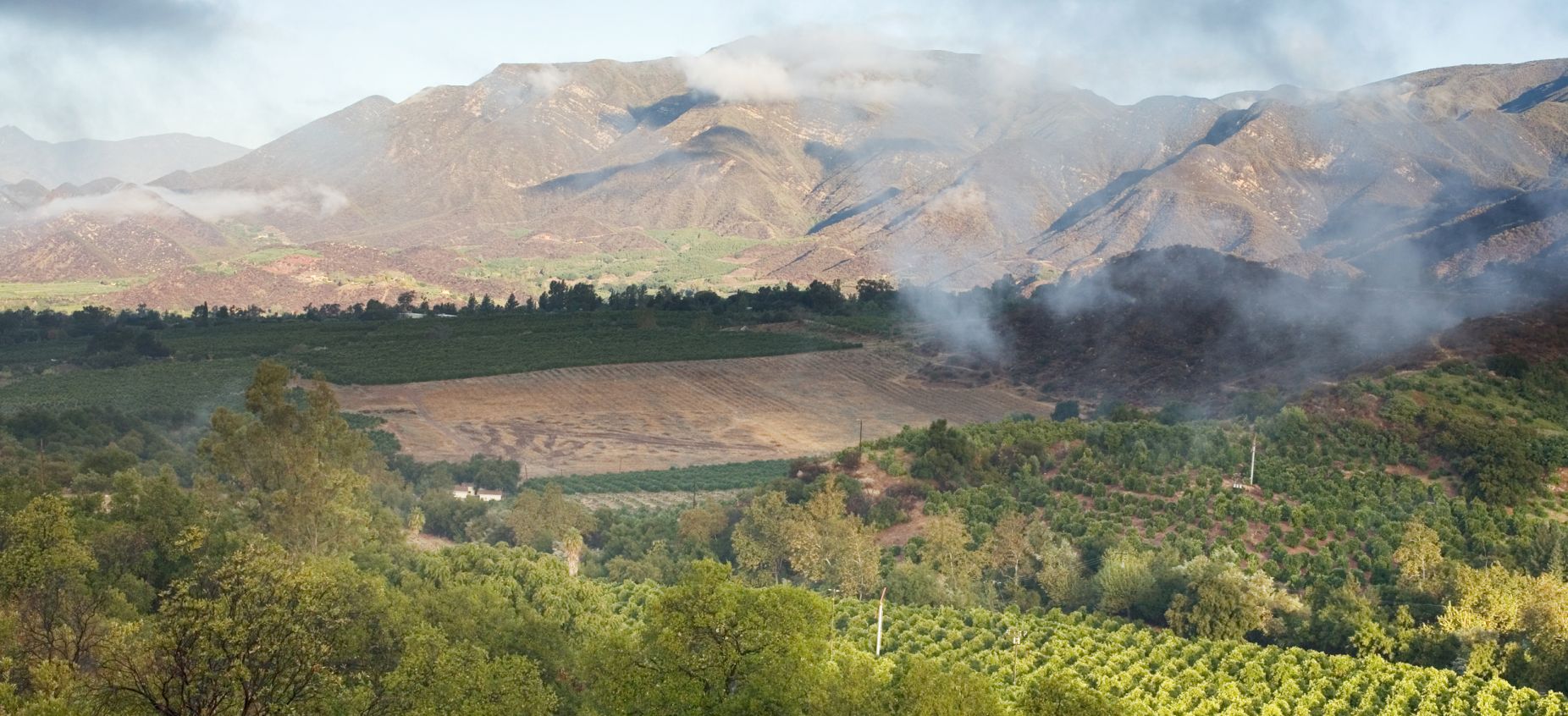 Ojai Conservation Center