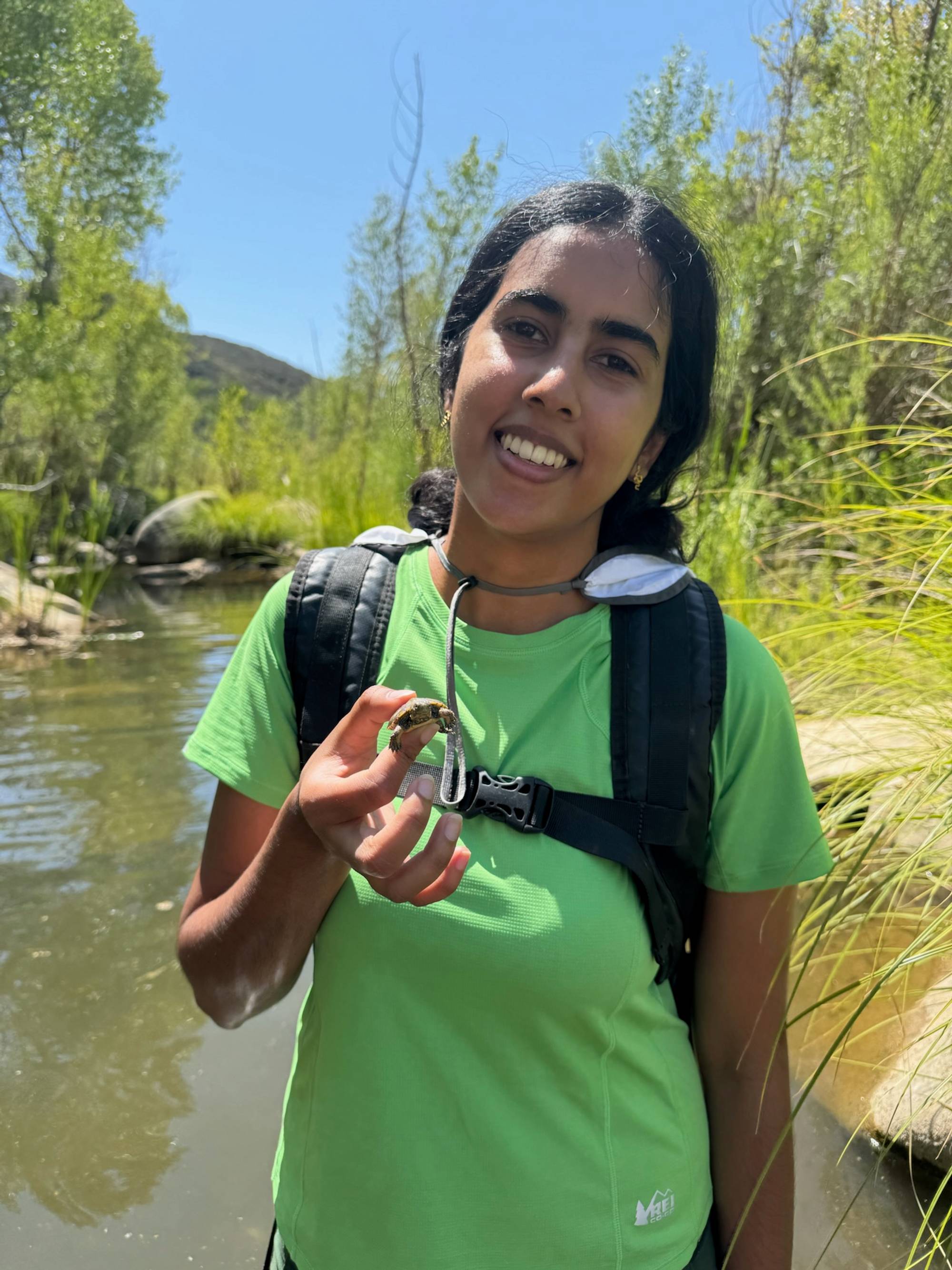 Akshara Reddy holds a hatchling Southern Pacific Pond Turtle in the field