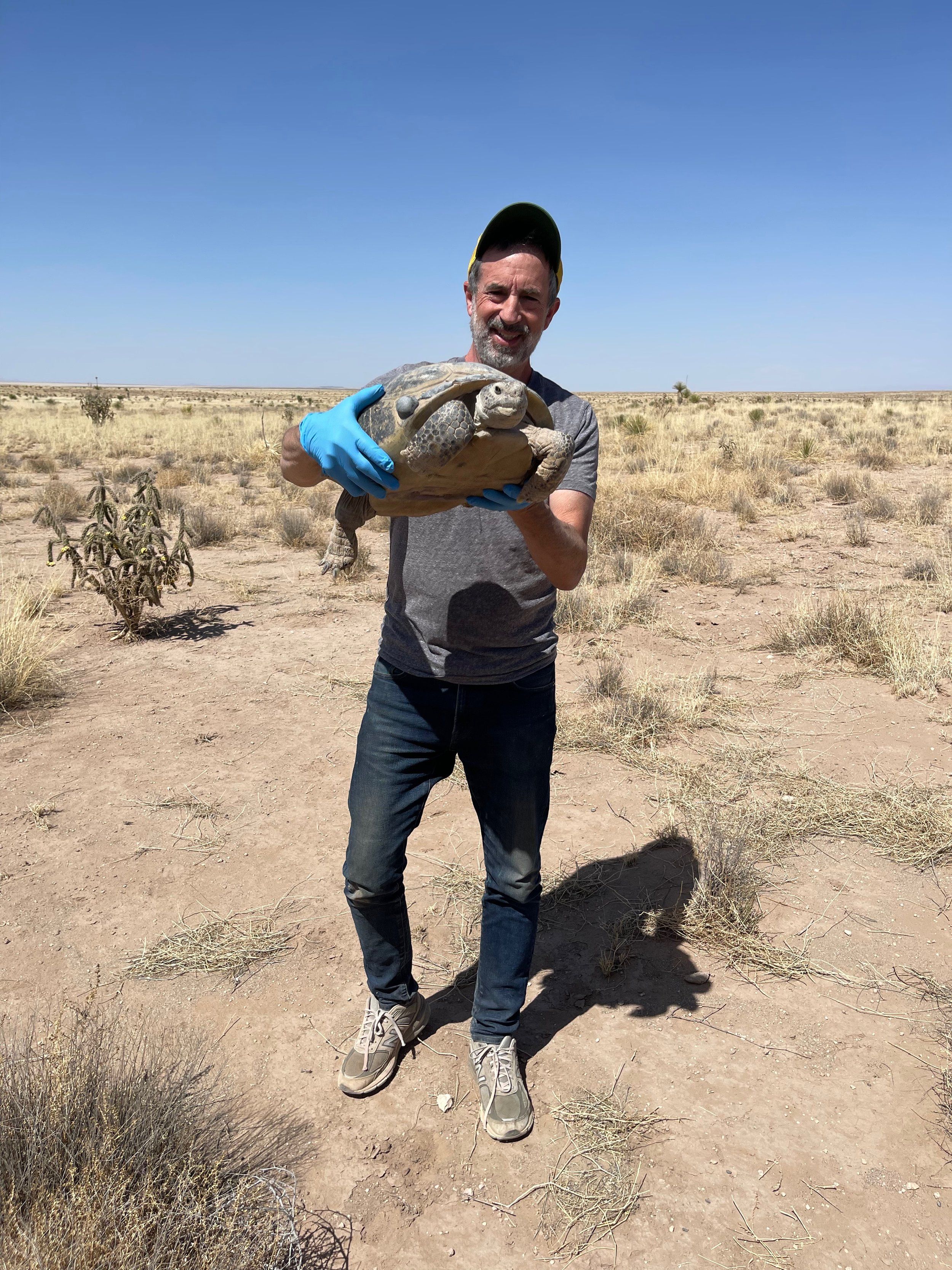 Ted Turner Saves Tortoises