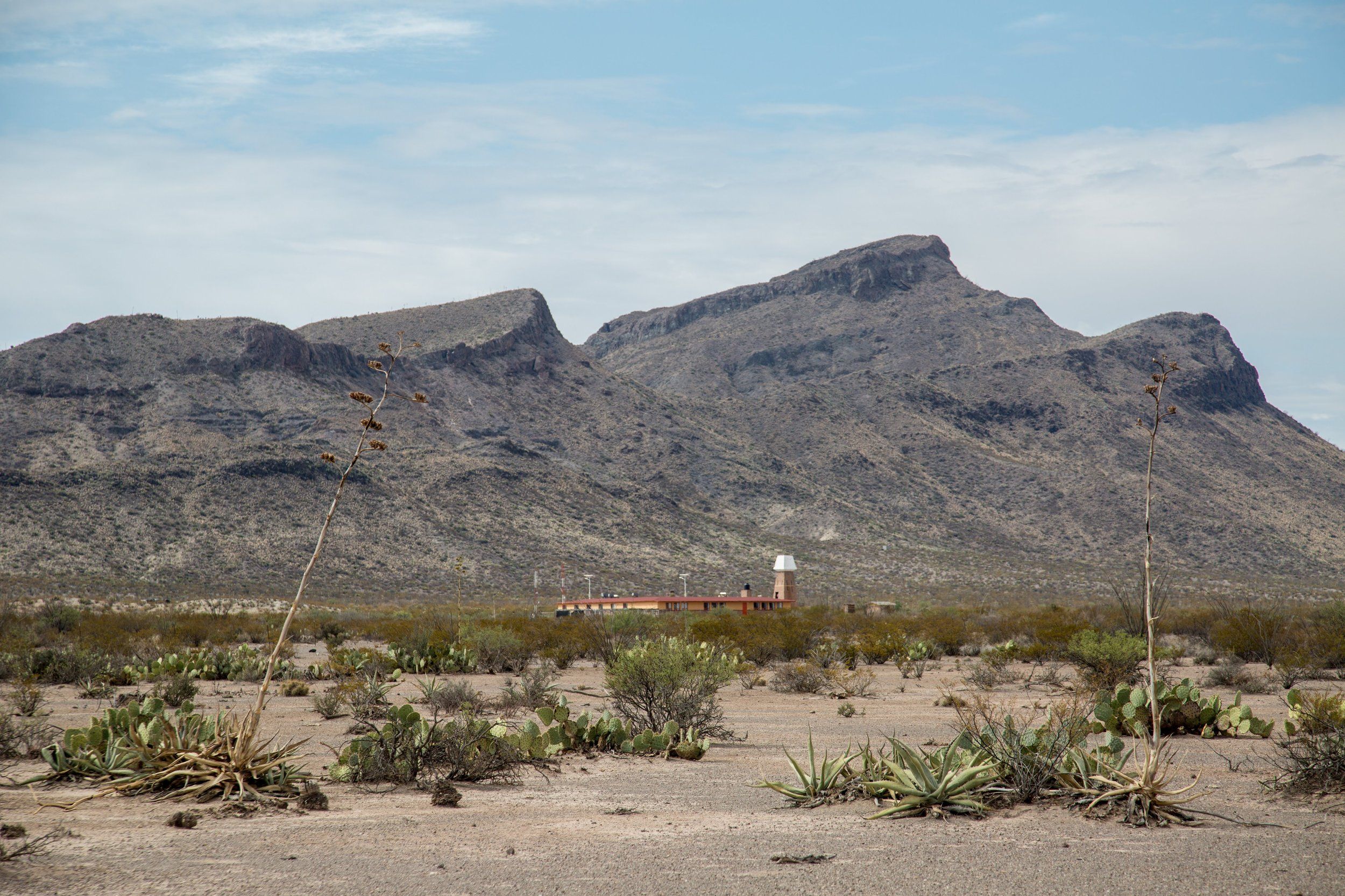 Bolson Tortoise Preserve Update