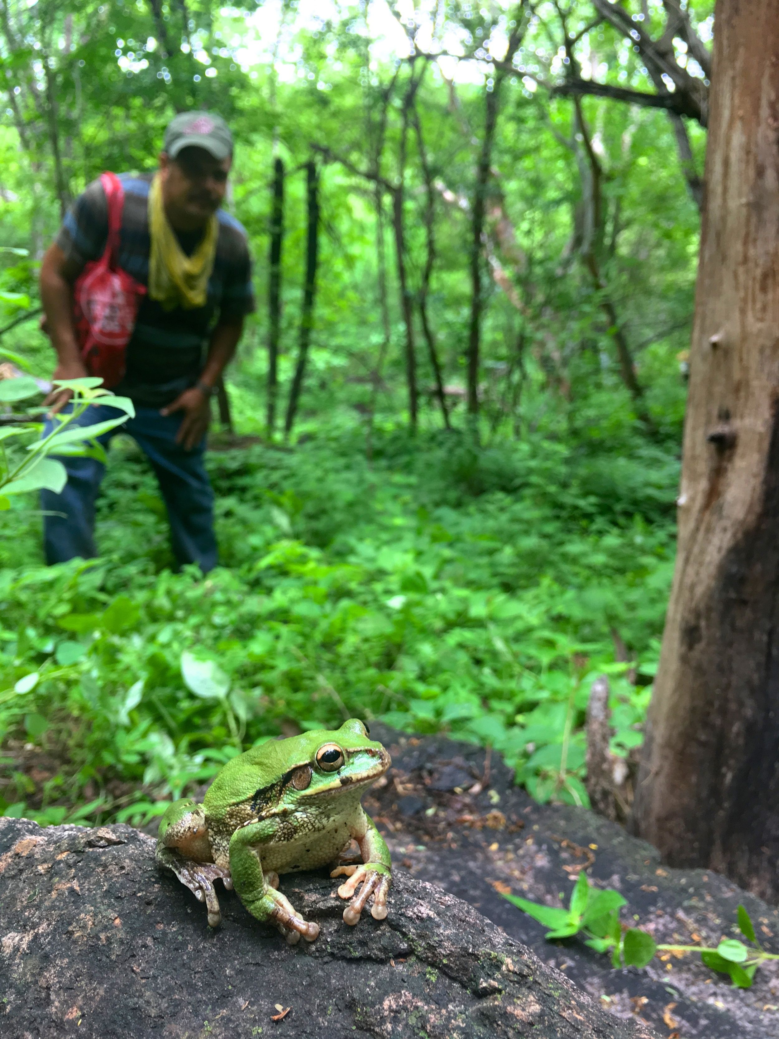 Saving a Mountain in Mexico