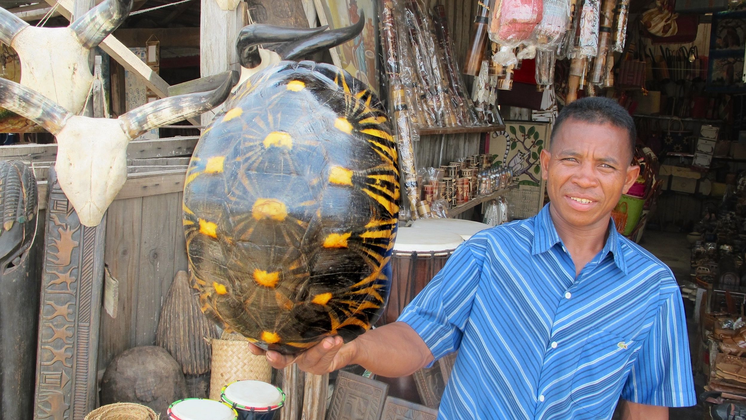 Annual Ploughshare Working Group Meeting in Madagascar