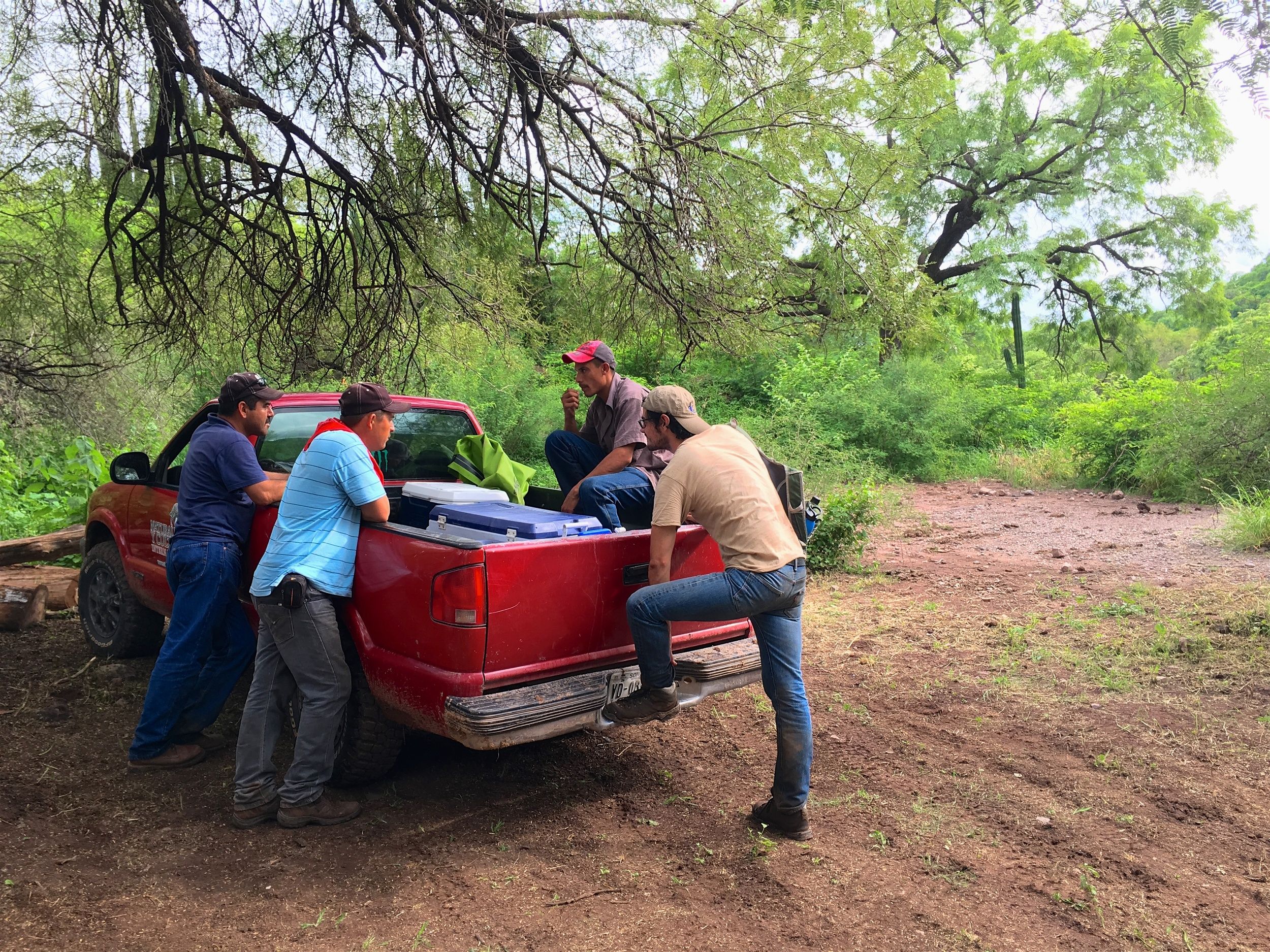 Saving a Mountain in Mexico