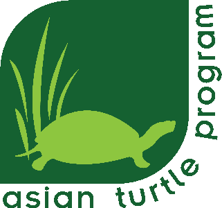 Some Good News for the Rarest Turtle in the World