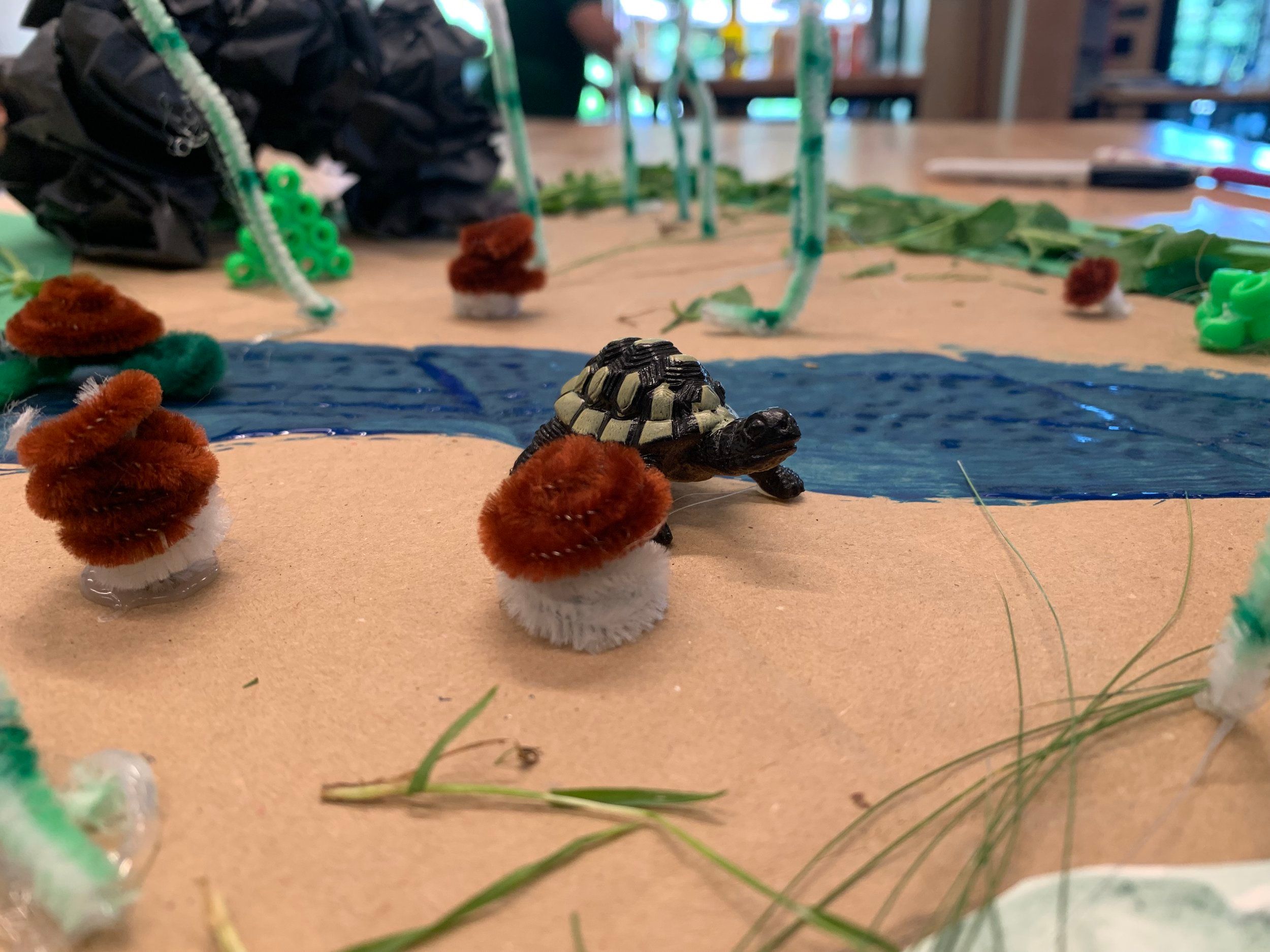 Turtle Camp Recap