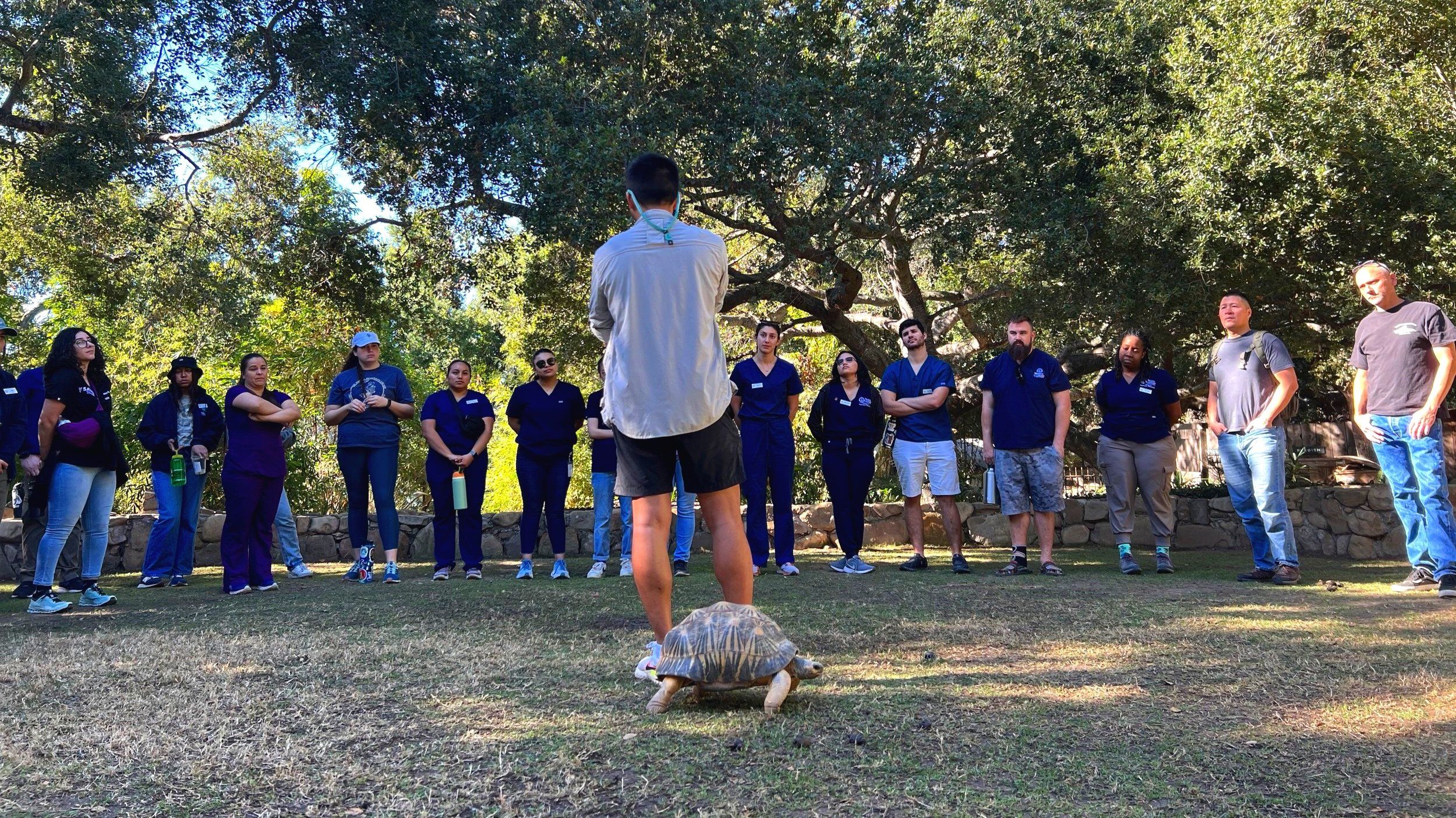 Turtle Conservancy and Western University Team Up To Train the Next Generation of Wildlife Veterinarians