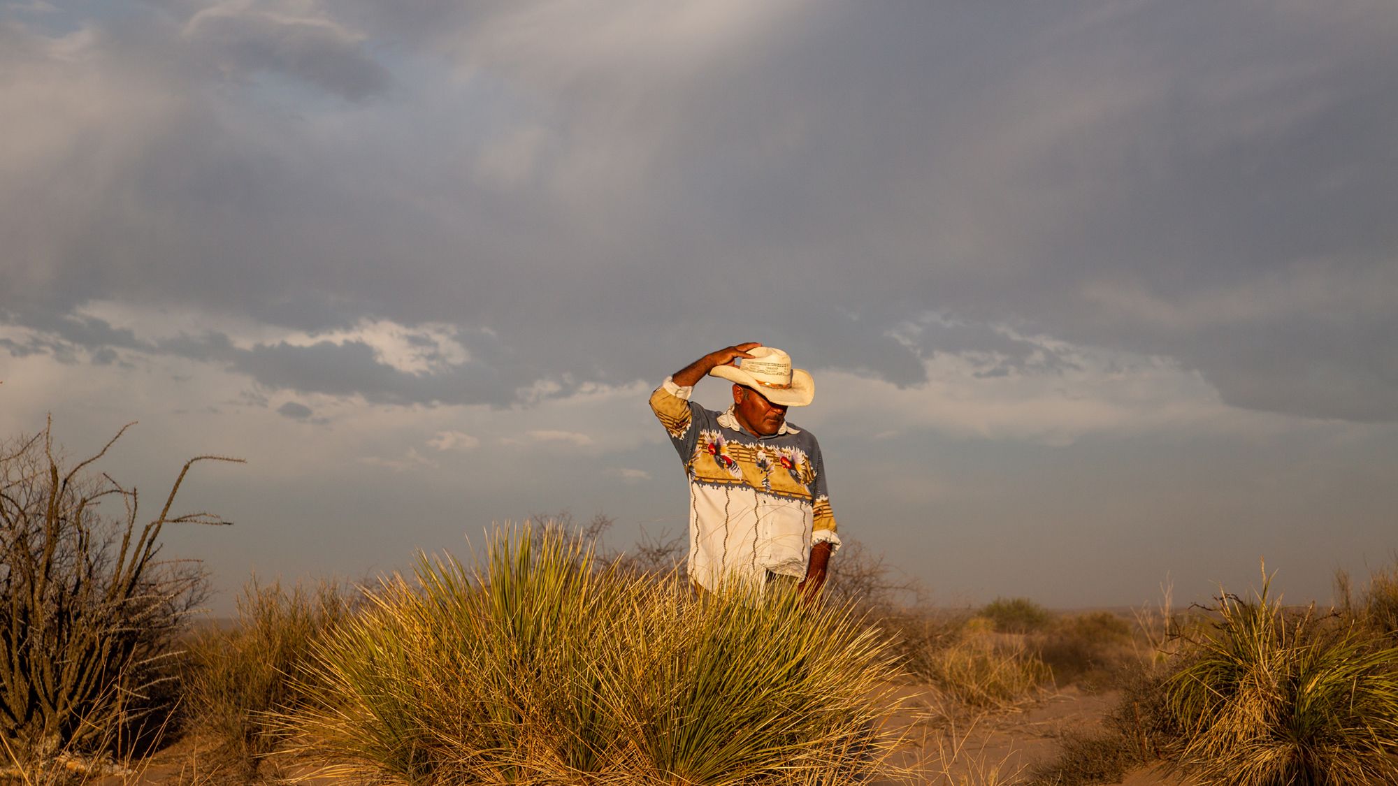 18,850 Acres of Critical Wildlife Habitat Secured in Northern Mexico!