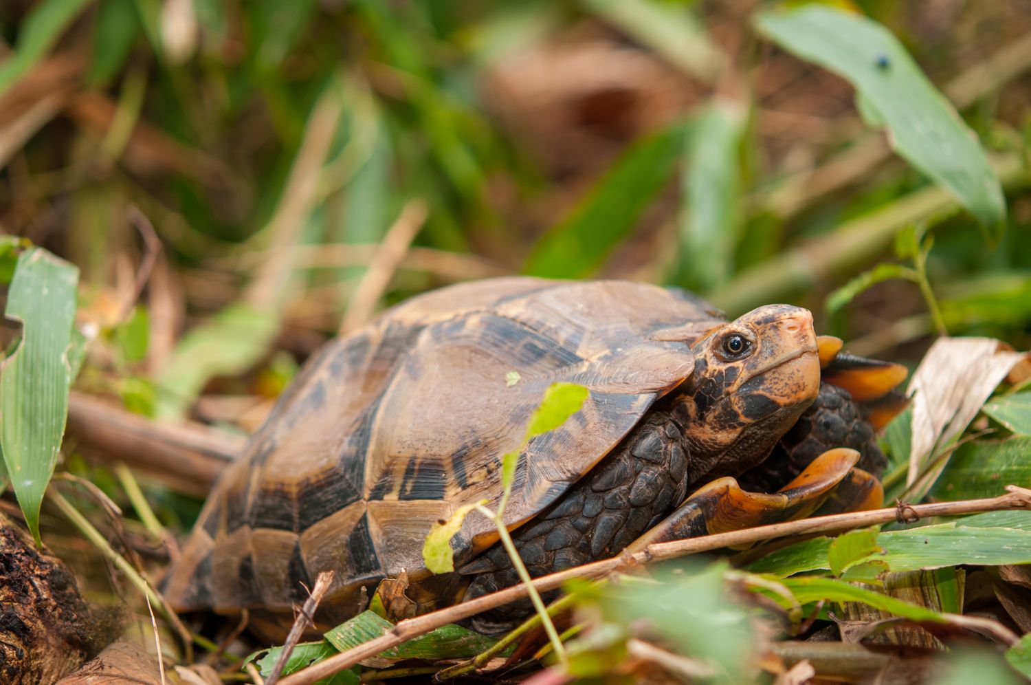 Conservation Center Updates