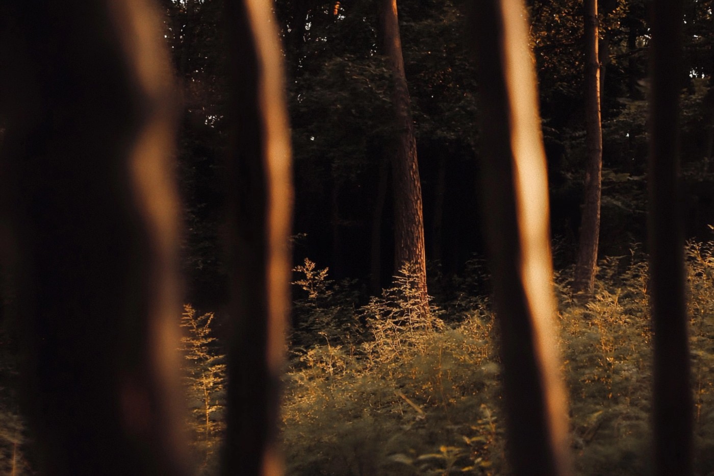 Knowledge Mindfulness