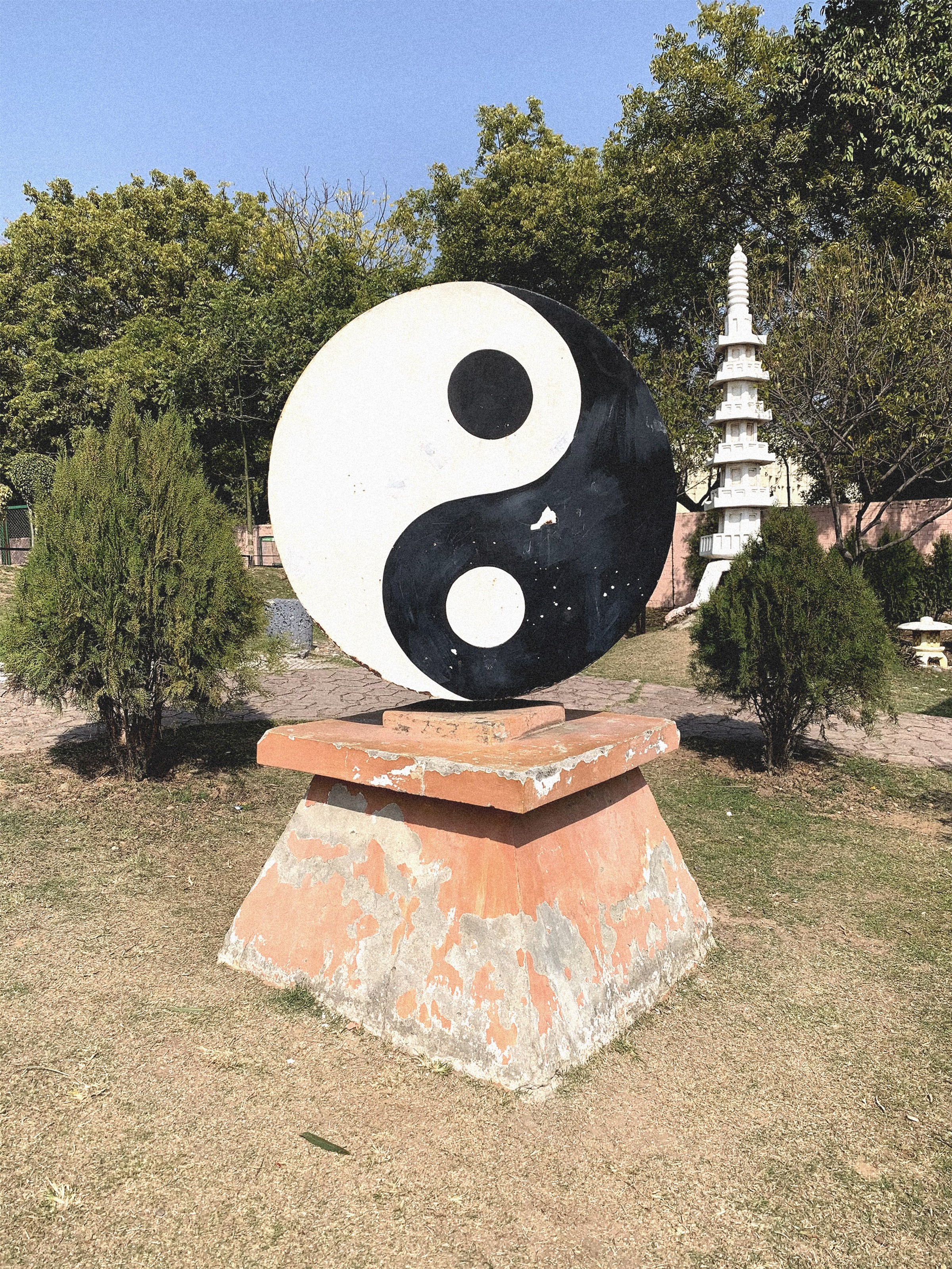 Knowledge Mindfulness