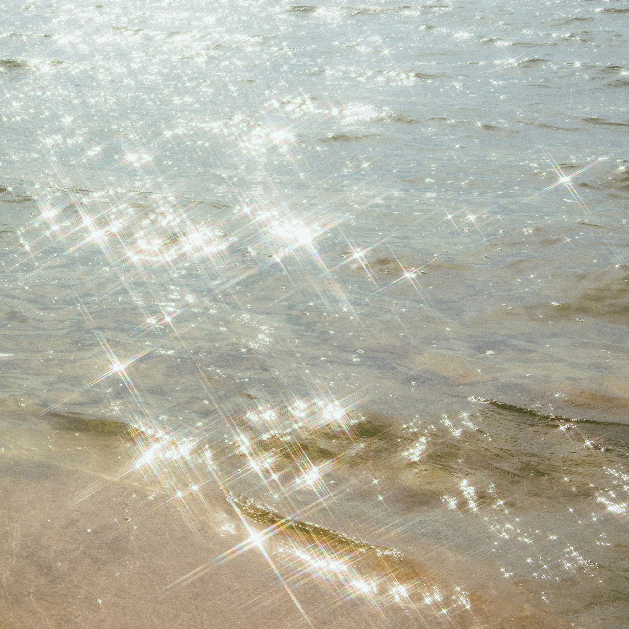 Knowledge Mindfulness