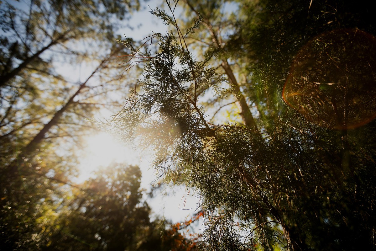 Knowledge Mindfulness