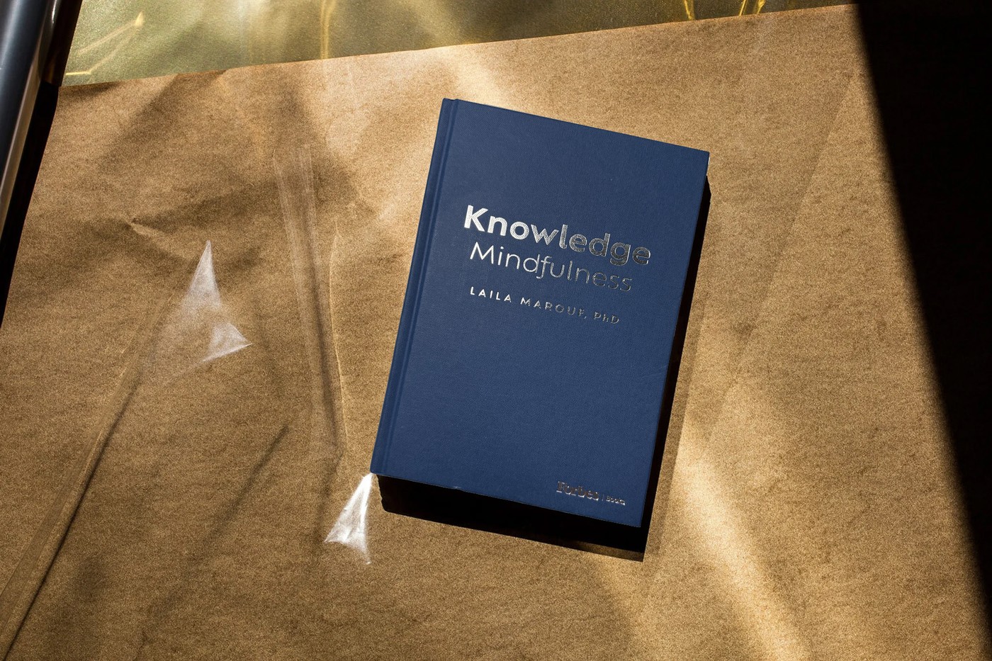 Knowledge Mindfulness