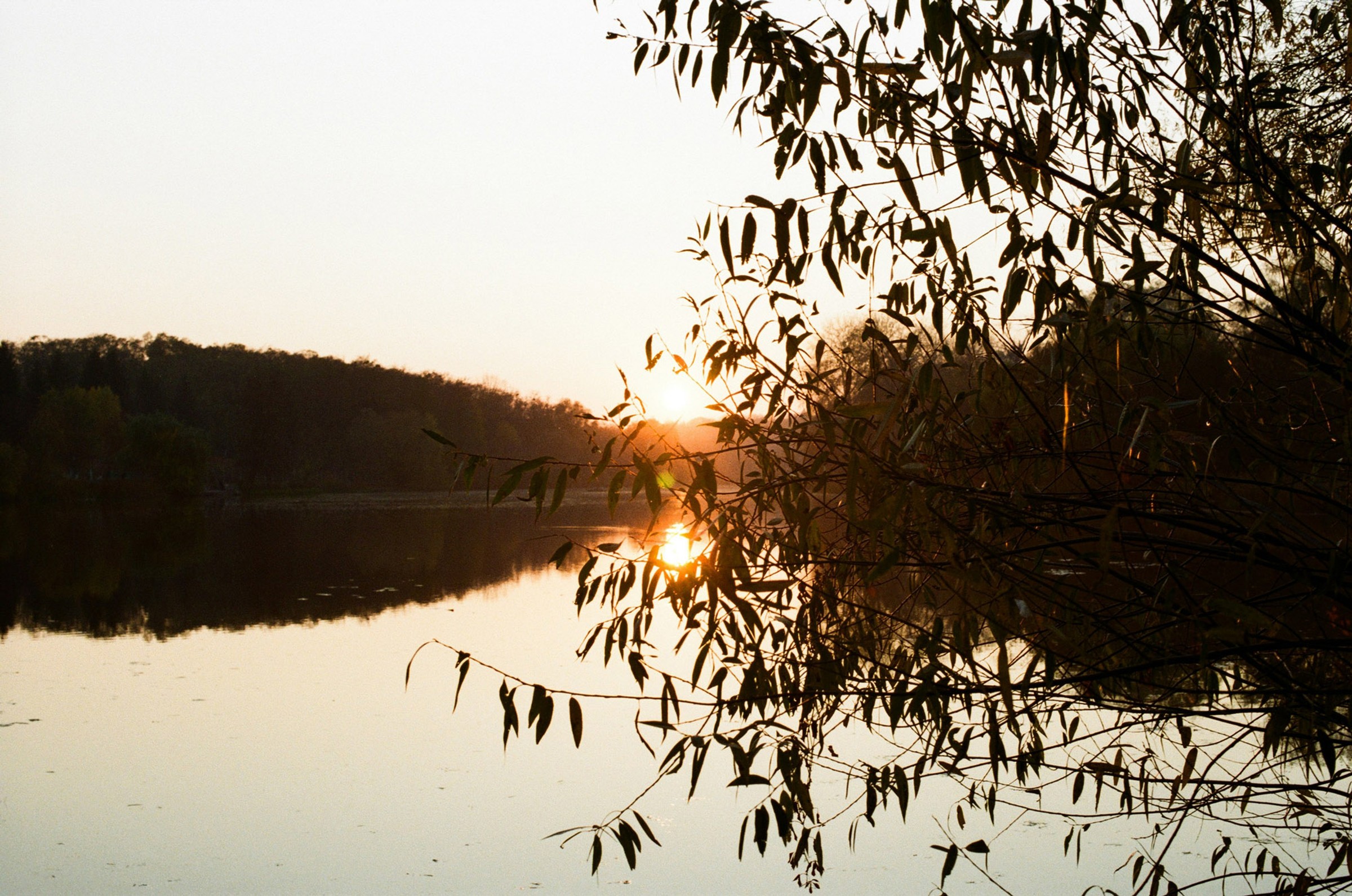 Knowledge Mindfulness