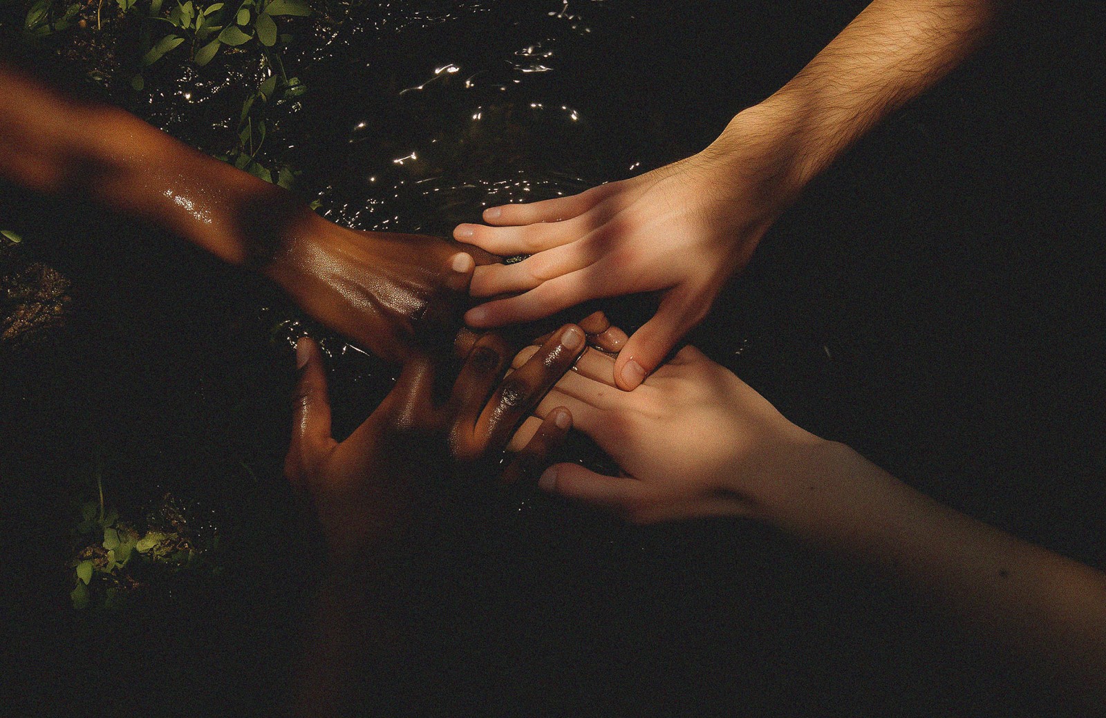 Knowledge Mindfulness