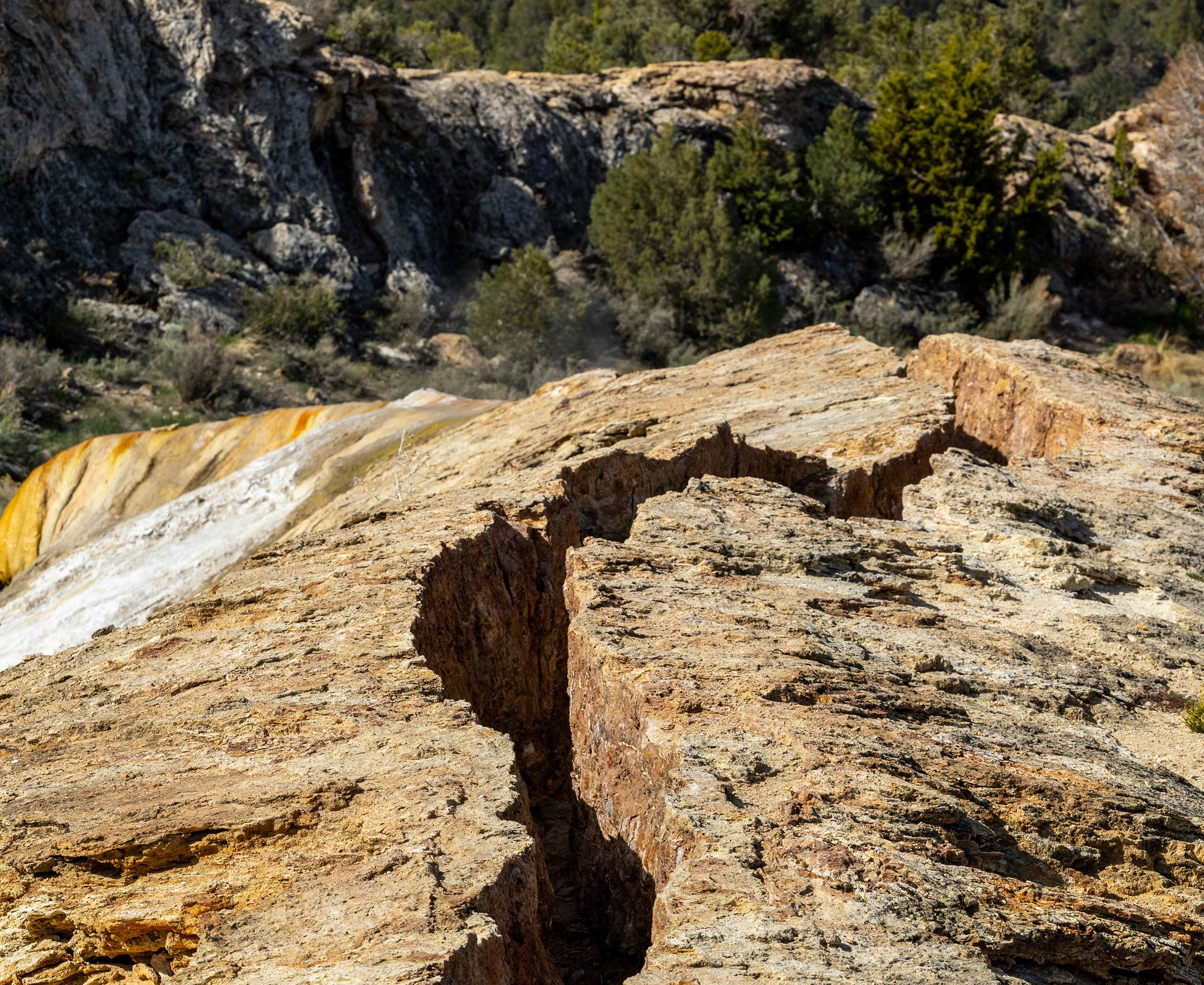 Knowledge Mindfulness