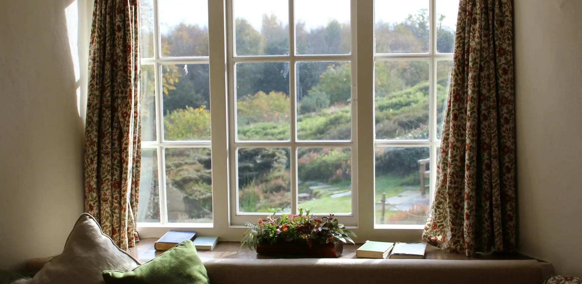 window with curtains overlooking trees