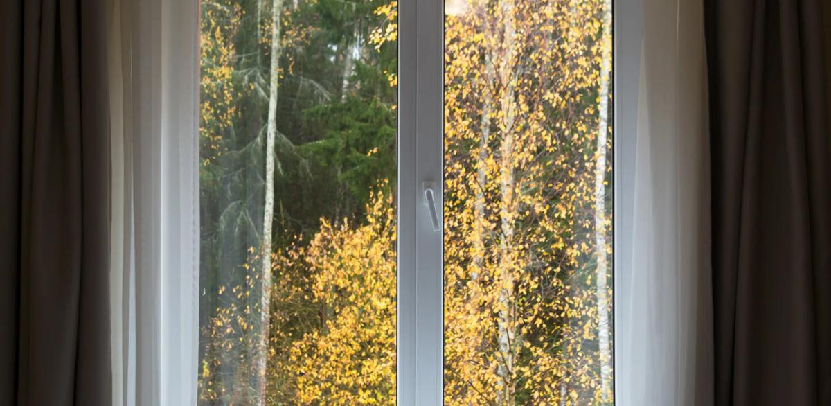window with trees outside