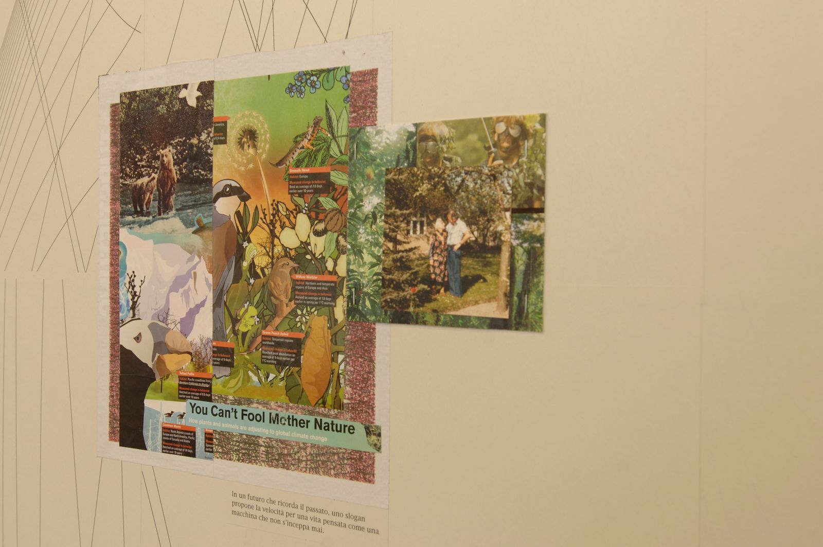 Installation detail from Deborah Ligorio’s solo exhibition Bird’s Eye View at BüroFriedrich, 2006.