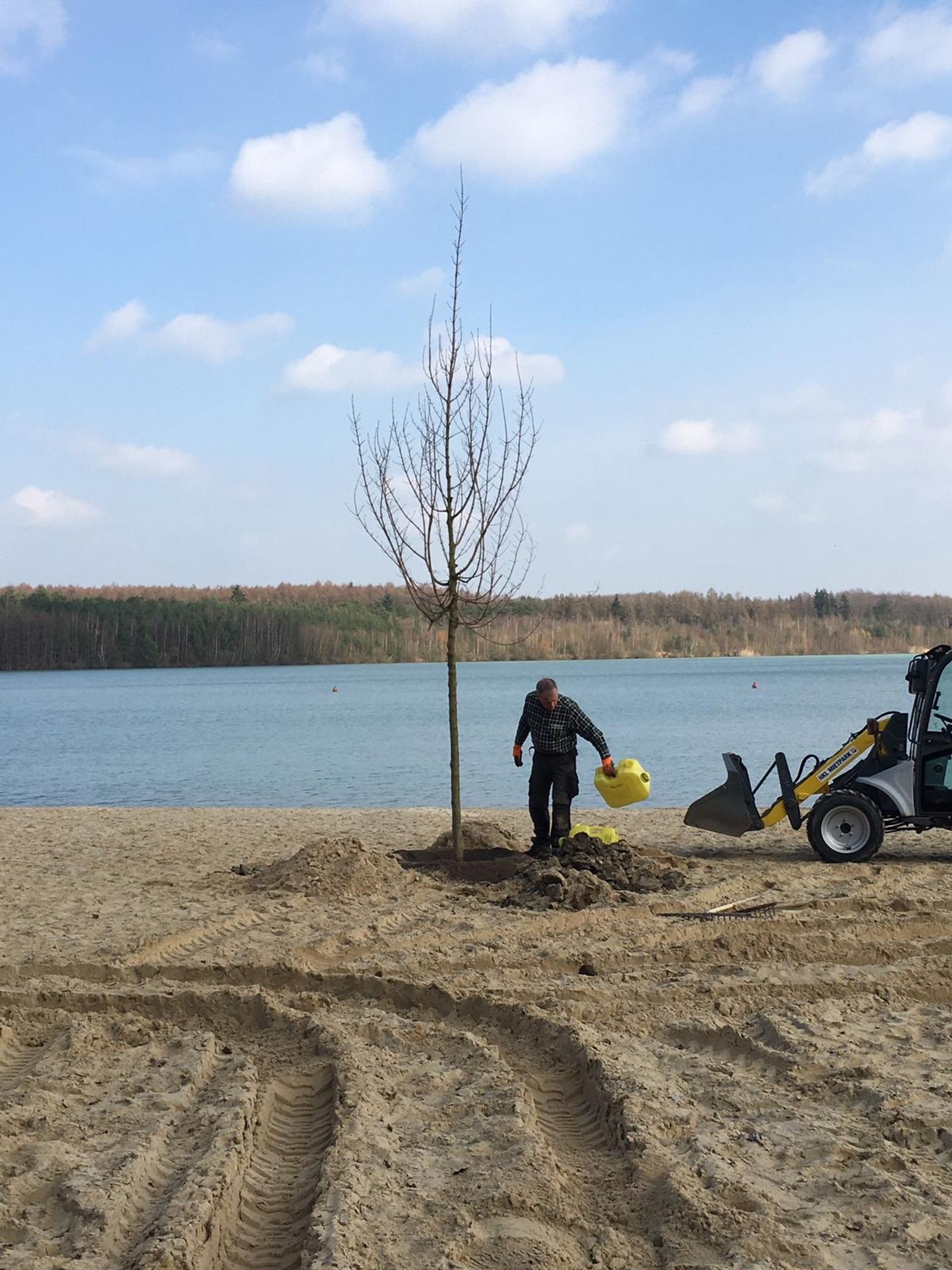 Trees planted at Silbersee II as part of Deborah Ligorio’s artwork Take Your Time, for Ruhr, Ding: Klima 2021.