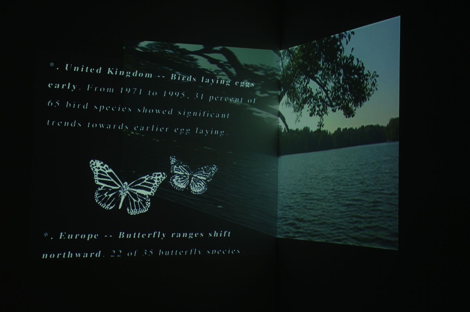 Installation view of Deborah Ligorio’s Irregular Configuration (2005), double-projection video installation.