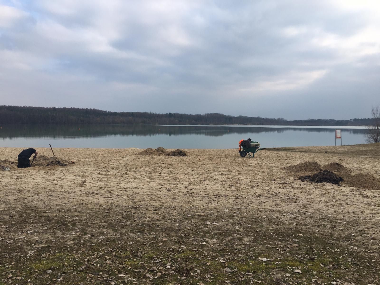 Trees planted at Silbersee II as part of Deborah Ligorio’s artwork Take Your Time, for Ruhr, Ding: Klima 2021.
