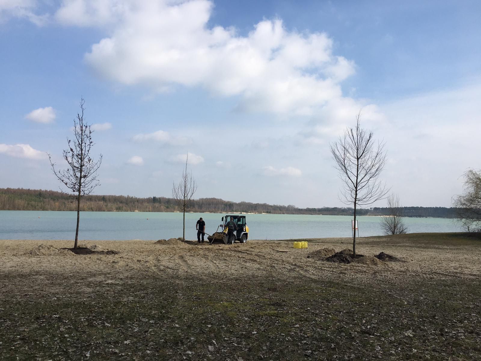 Trees planted at Silbersee II as part of Deborah Ligorio’s artwork Take Your Time, for Ruhr, Ding: Klima 2021.