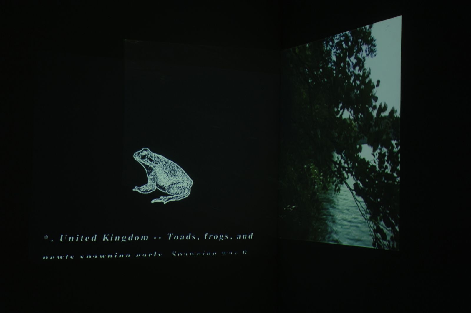 Installation detail from Deborah Ligorio’s solo exhibition Bird’s Eye View at BüroFriedrich, 2006.
