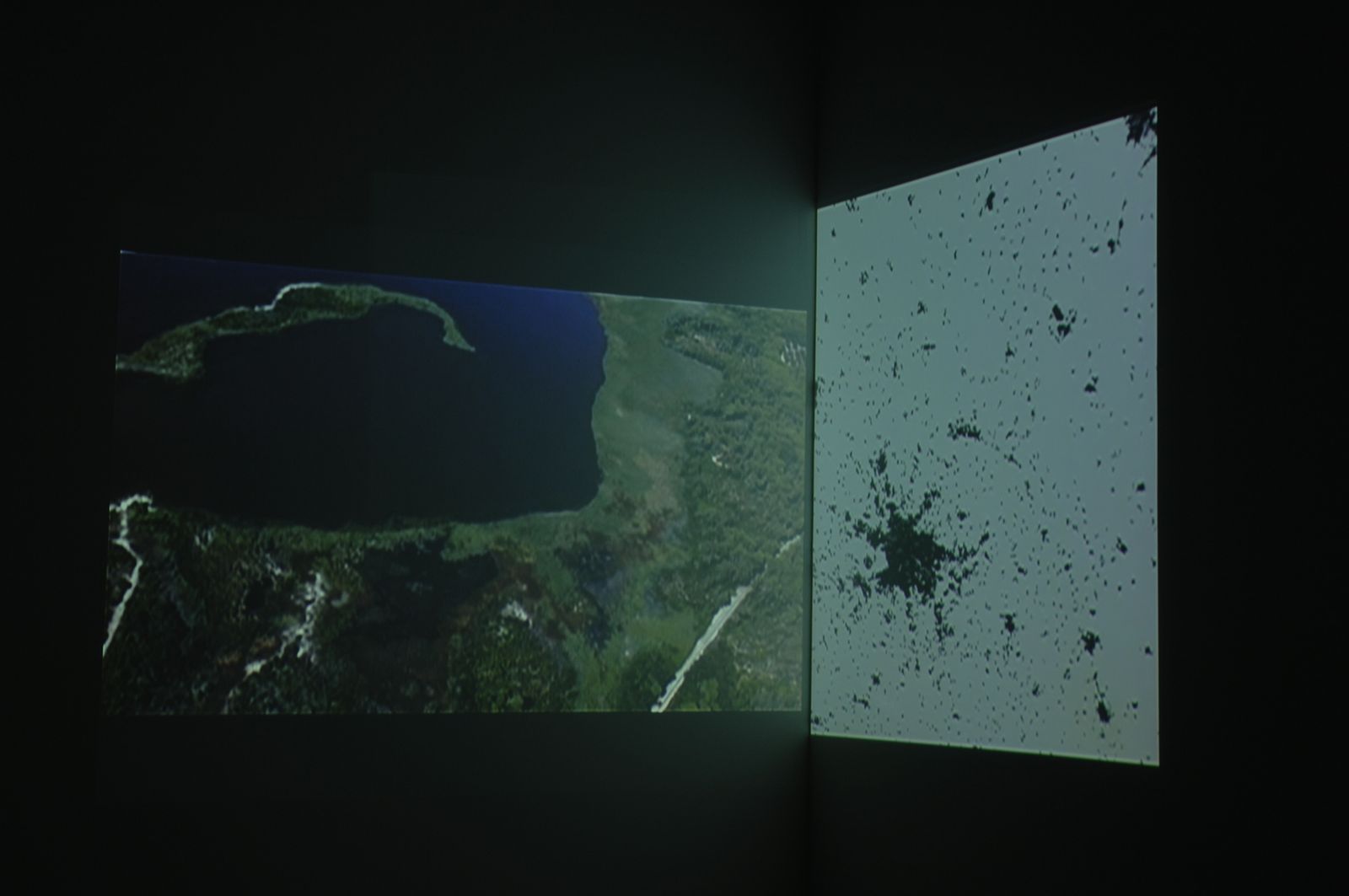 Installation detail from Deborah Ligorio’s solo exhibition Bird’s Eye View at BüroFriedrich, 2006.
