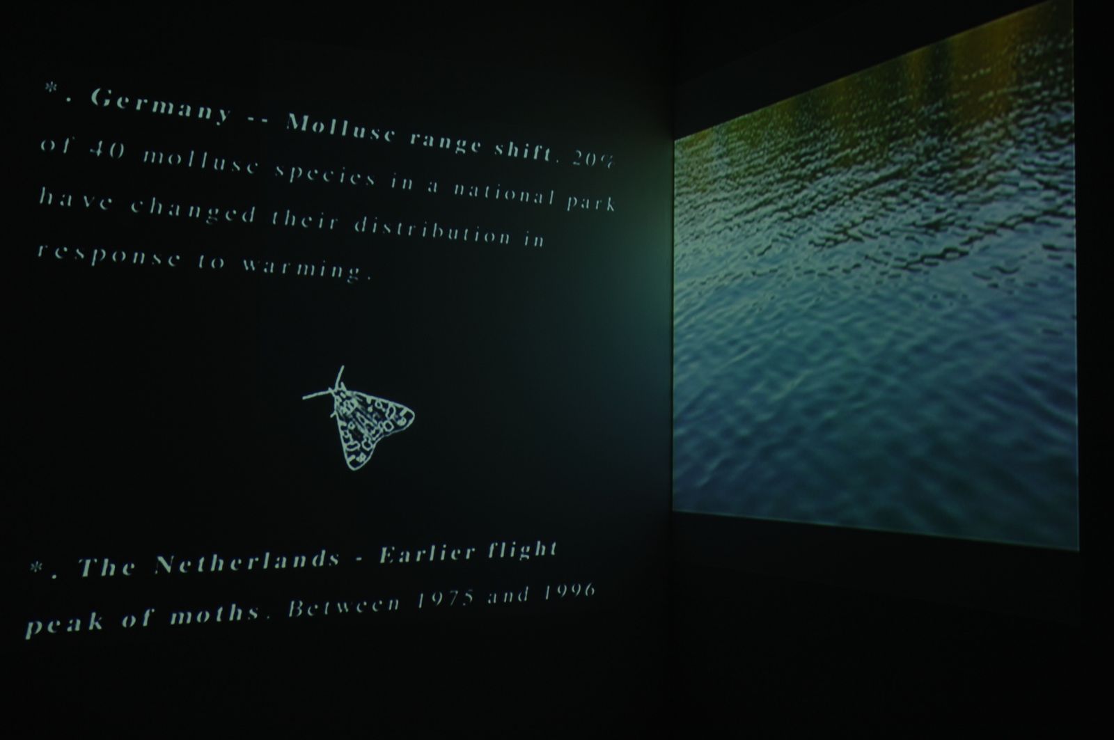 Installation view of Deborah Ligorio’s Irregular Configuration (2005), double-projection video installation.