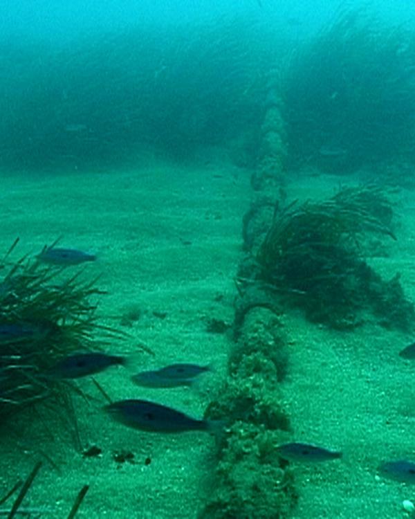 Deborah Ligorio, Wired Under Water, 1999, video, 5 min