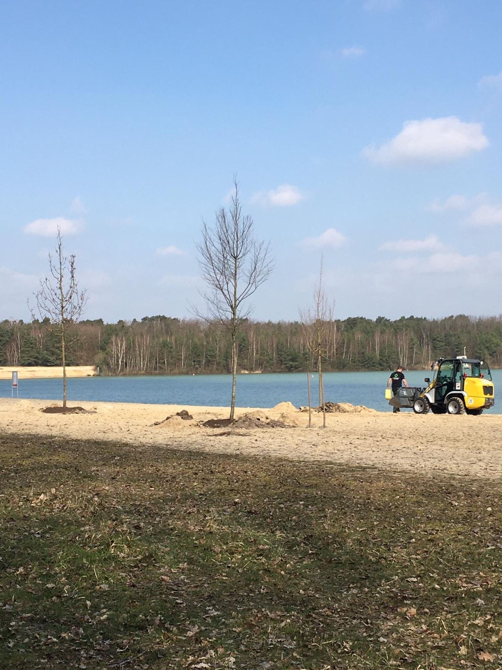 Trees planted at Silbersee II as part of Deborah Ligorio’s artwork Take Your Time, for Ruhr, Ding: Klima 2021.