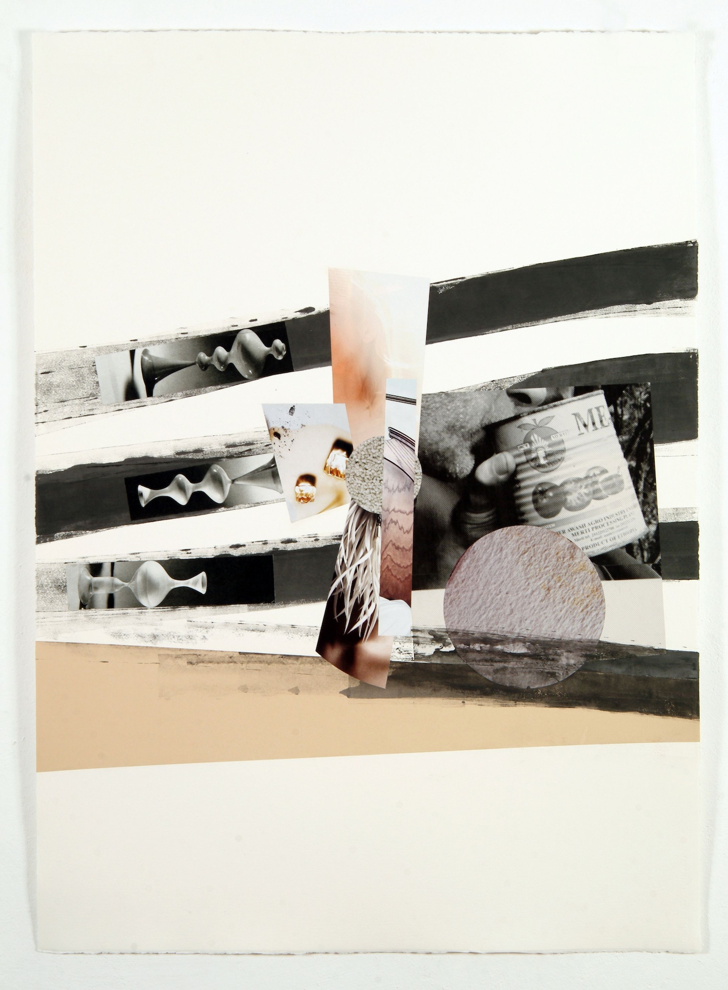 Deborah Ligorio, Innesti 2, 2010, collage, 67 × 102 cm.